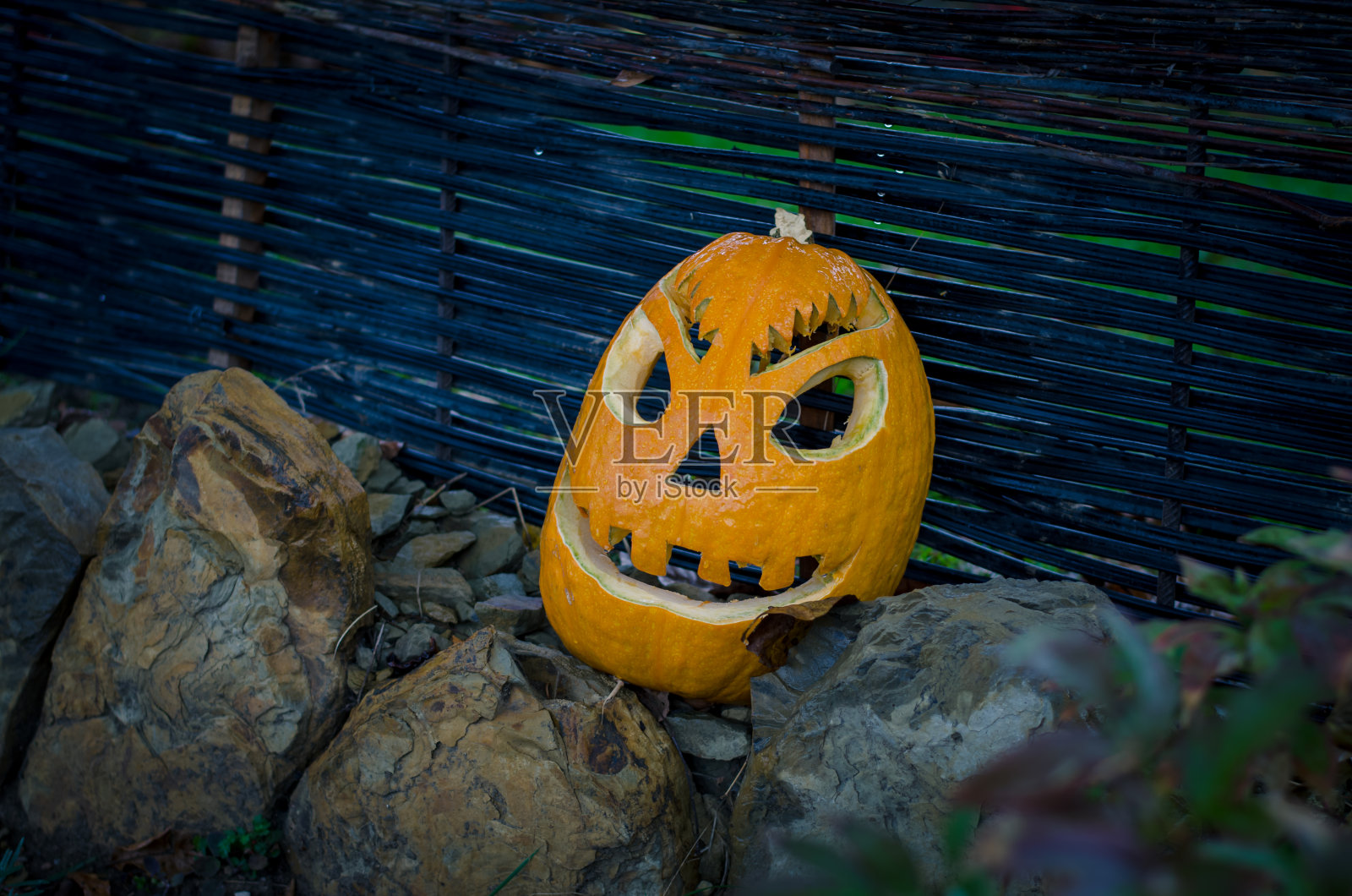 橙色吓人的万圣节南瓜概念照片摄影图片