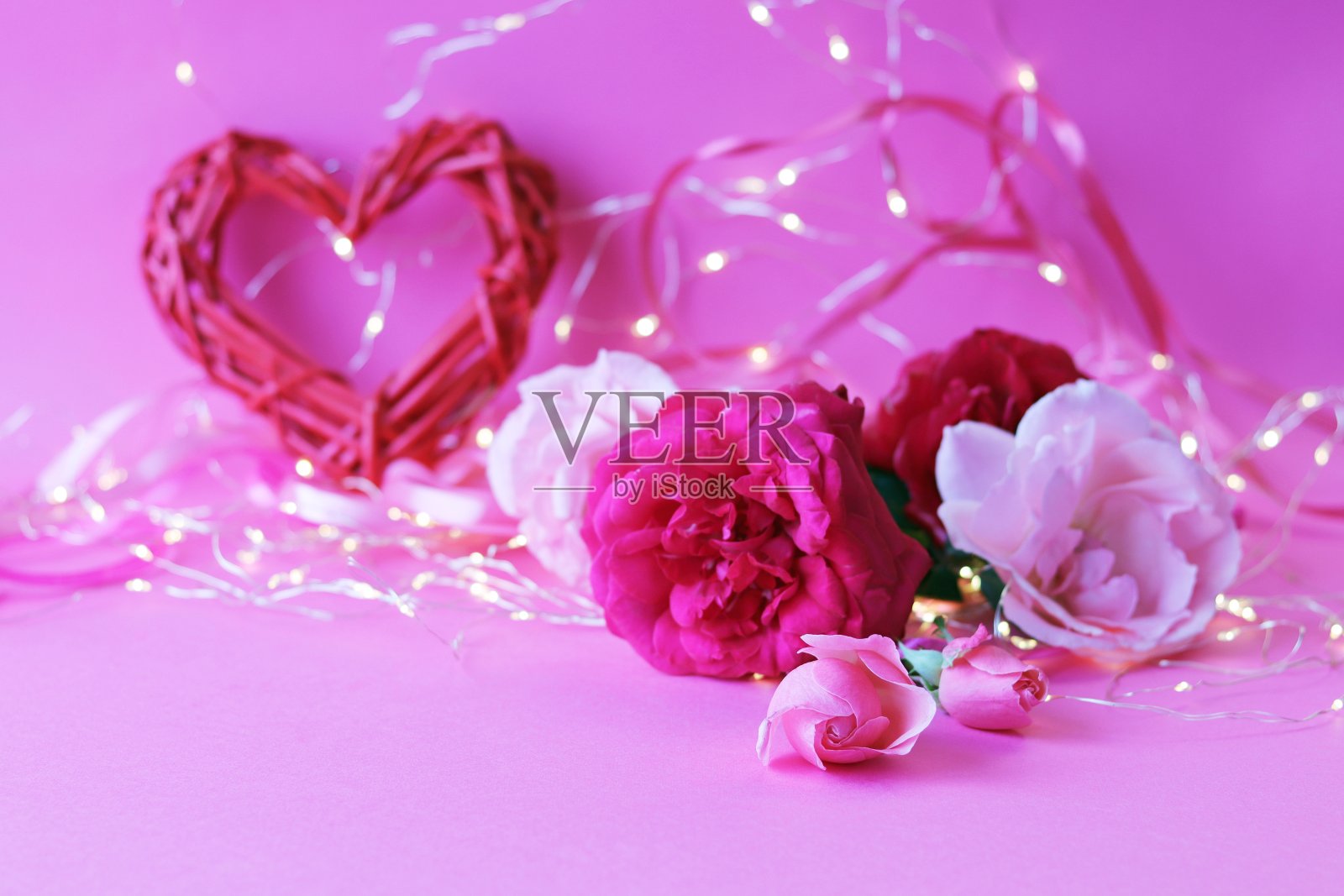 粉色背景上的新鲜玫瑰，心形，照明，浪漫的祝贺概念照片摄影图片