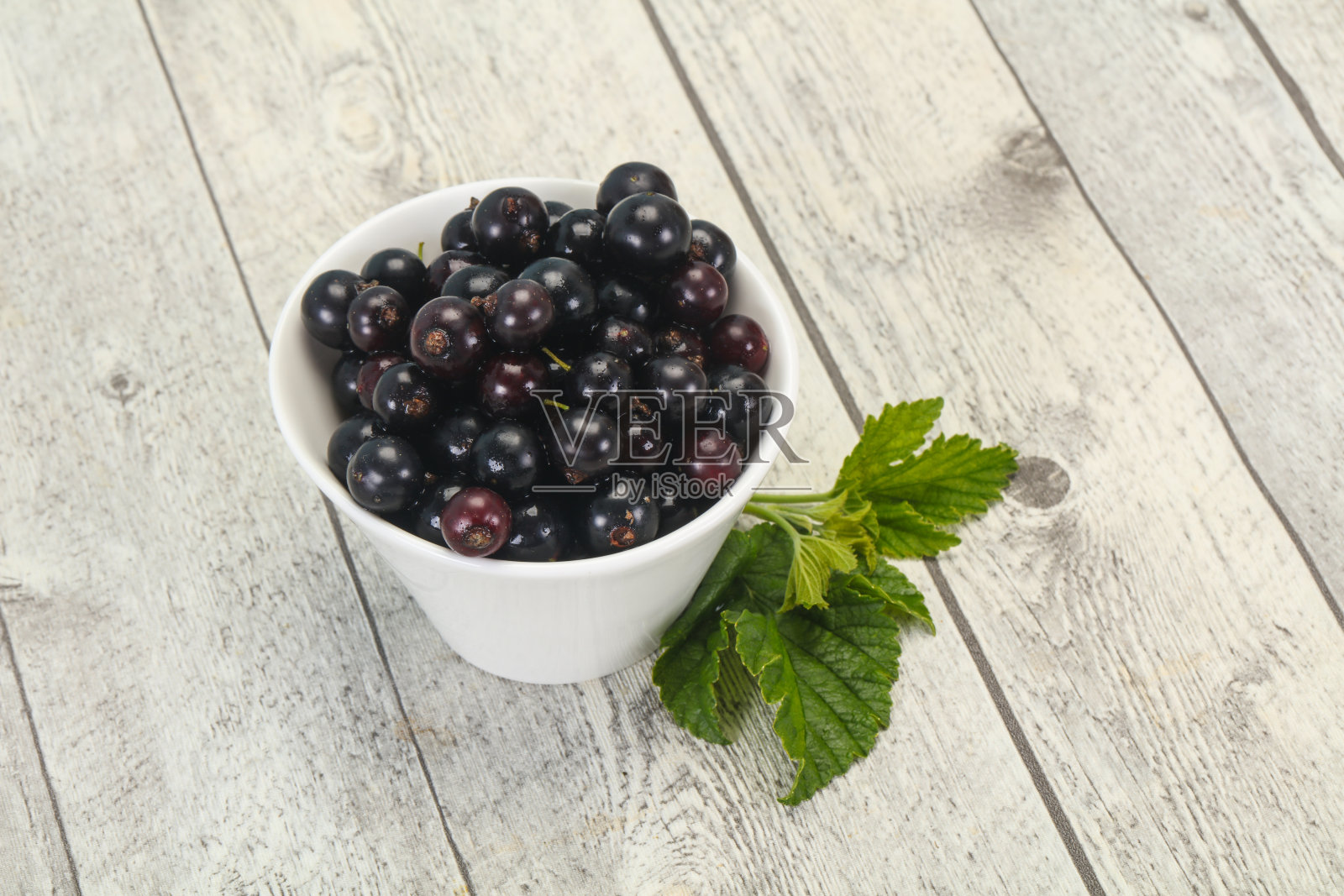 新鲜成熟的甜黑加仑子照片摄影图片