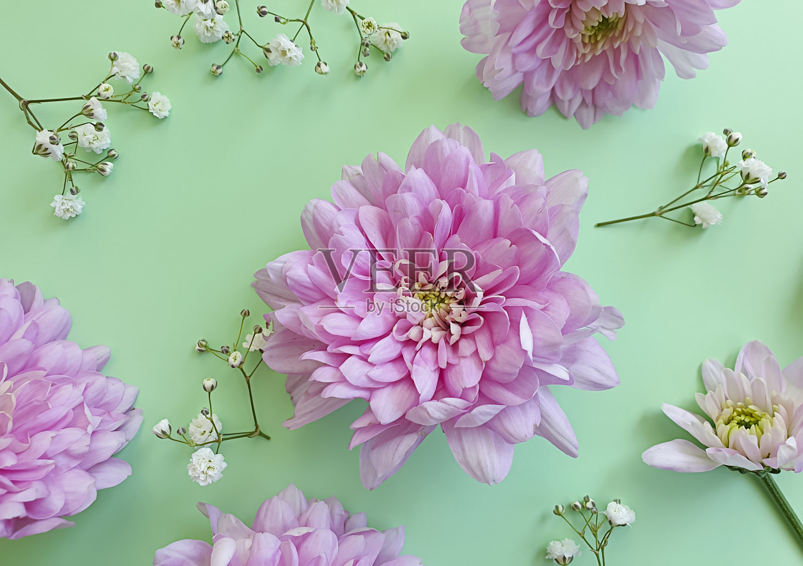 美丽的花在彩色的背景，创造性的构图，框架照片摄影图片