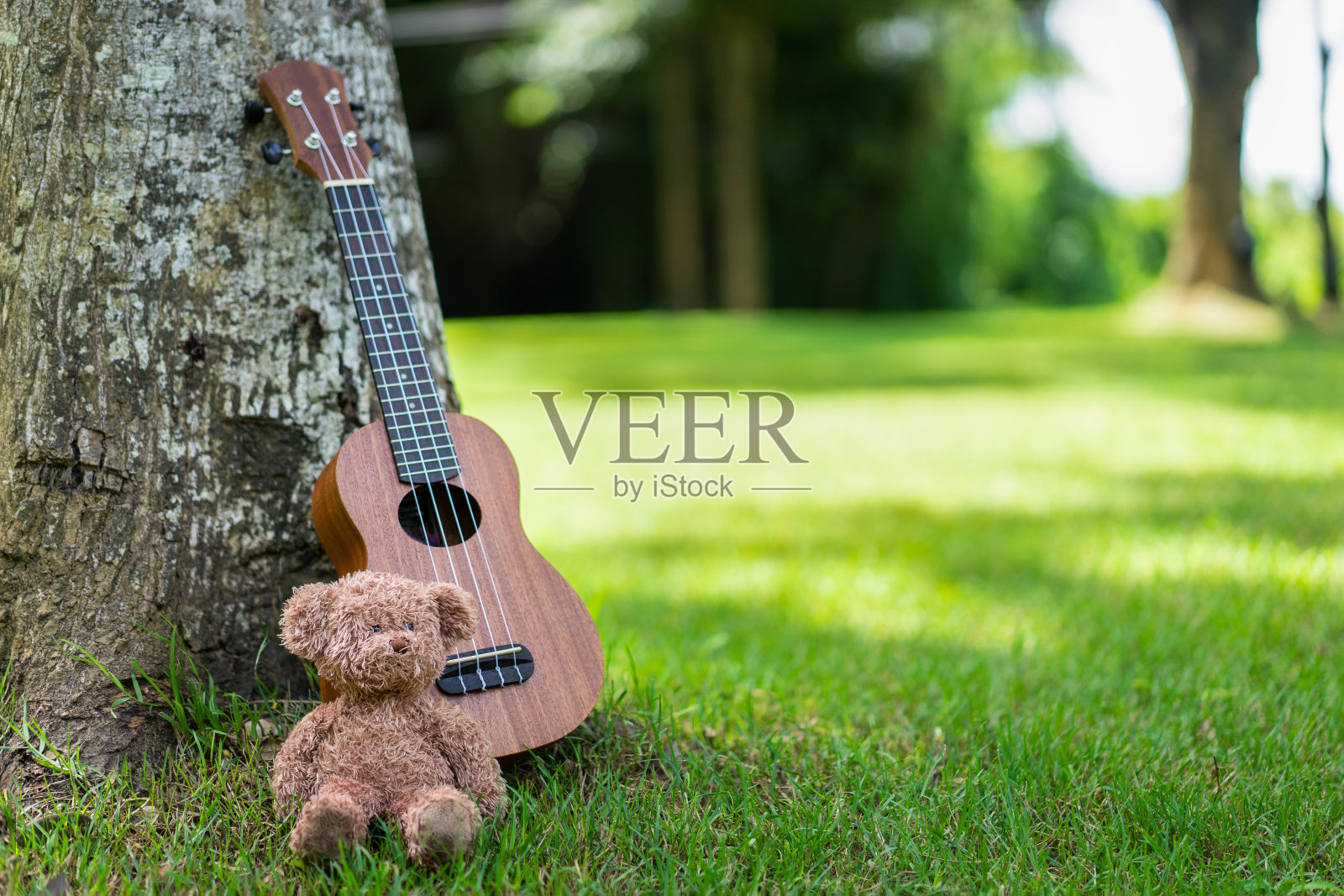 尤克里里吉他和熊娃娃在树下的草地上与阳光照片摄影图片