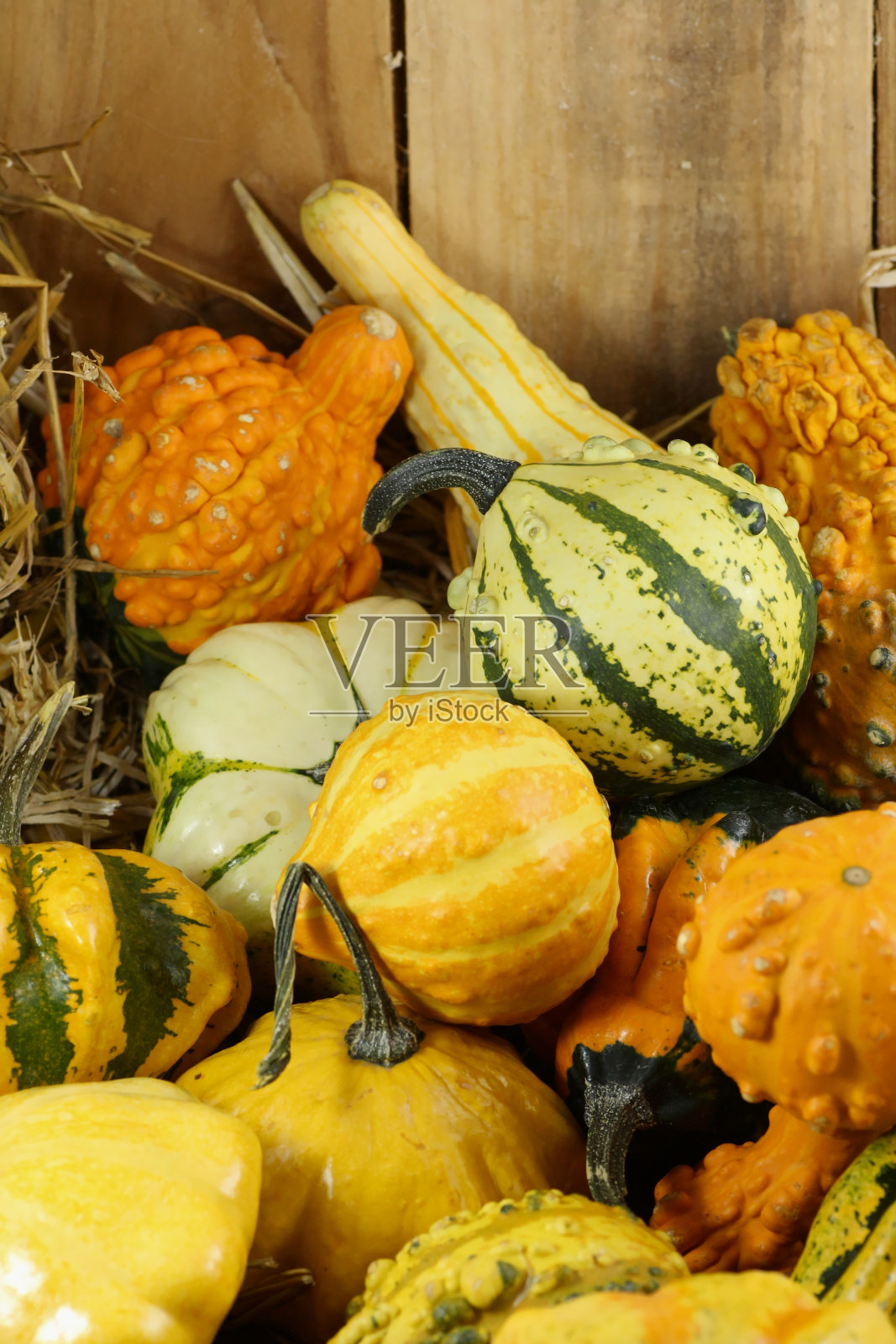 葫芦,葫芦,葫芦照片摄影图片