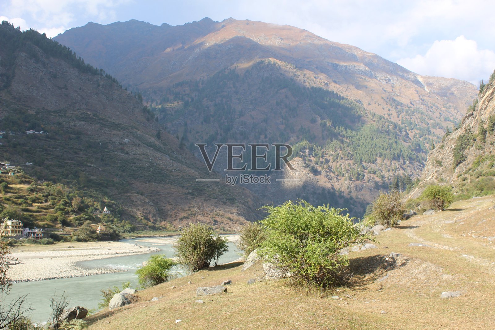 哈西尔照片摄影图片