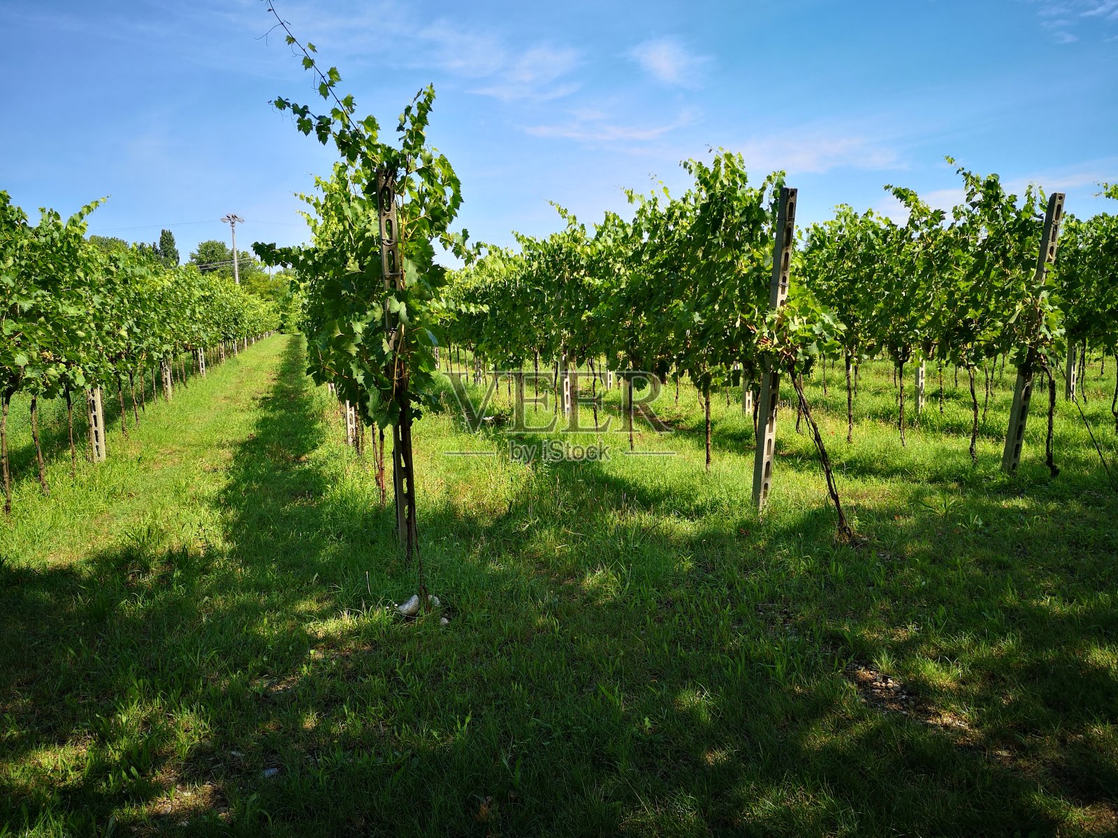 农村照片摄影图片
