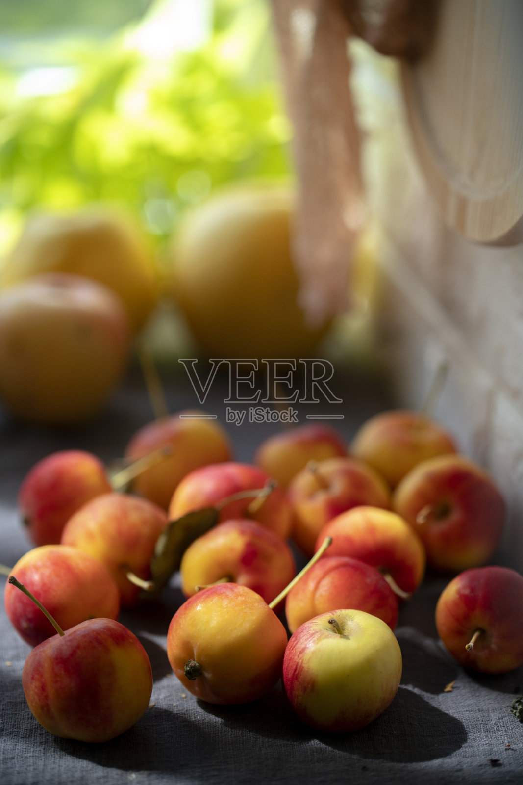 阳光下的新鲜苹果照片摄影图片