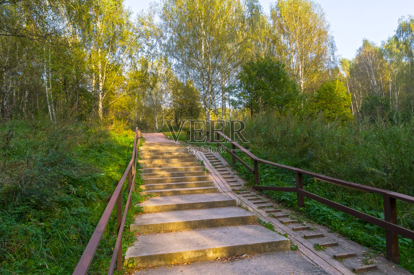 改善了森林公园的人行道。照片摄影图片