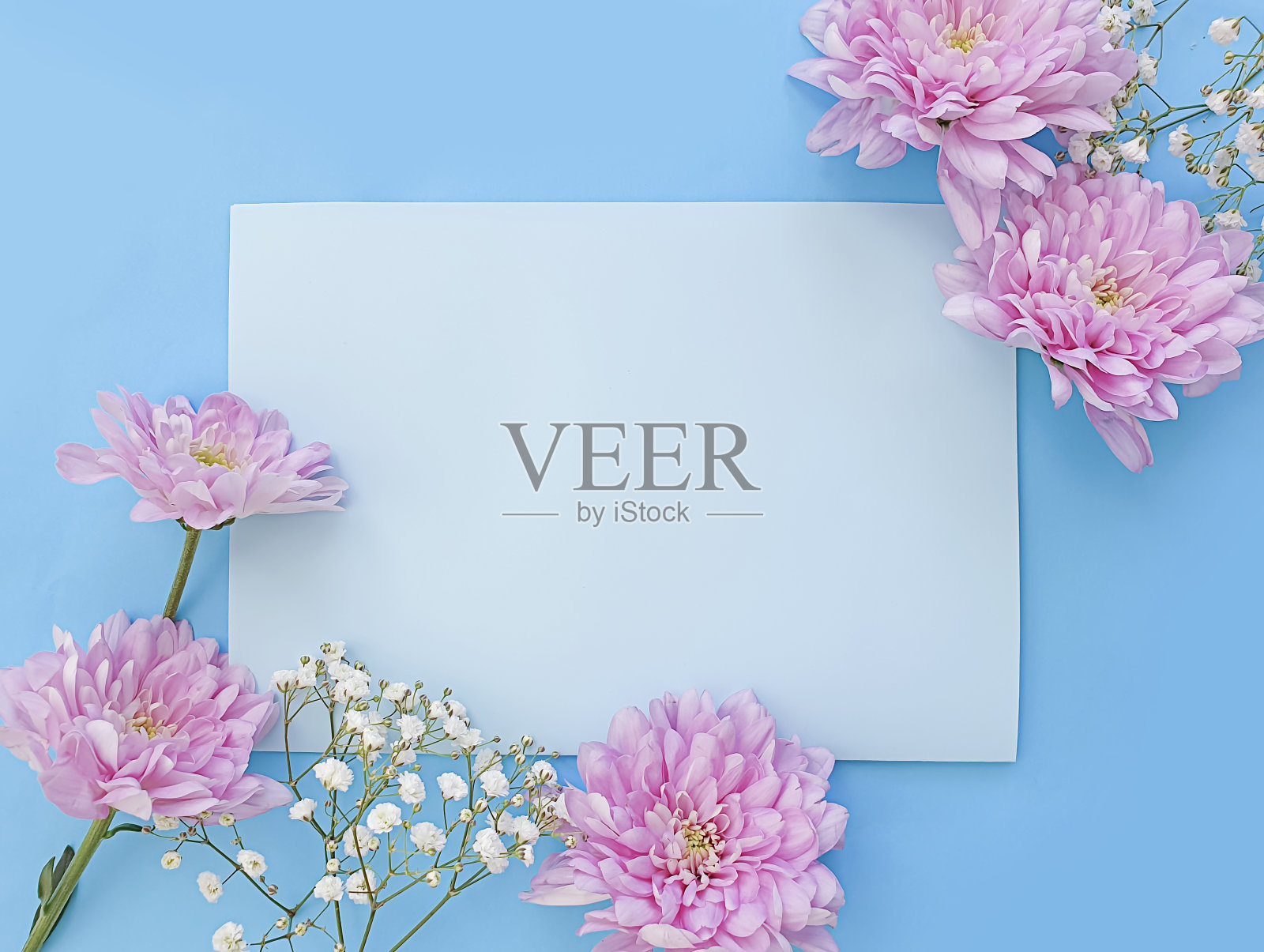 信封，花在一个彩色的背景照片摄影图片