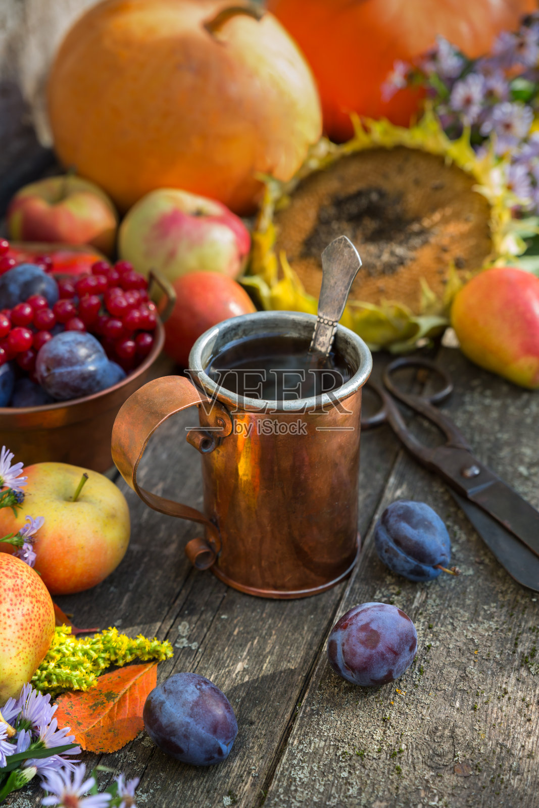 木桌上放着秋收的南瓜、苹果、李子、梨和荚蒾，背景是一个铜制的茶杯。古老的乡村风格照片摄影图片