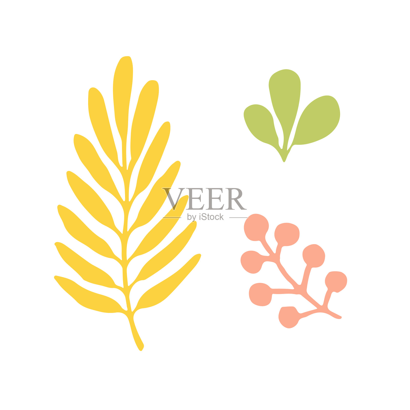 叶子轮廓。贺卡和网页设计的装饰。插画图片素材