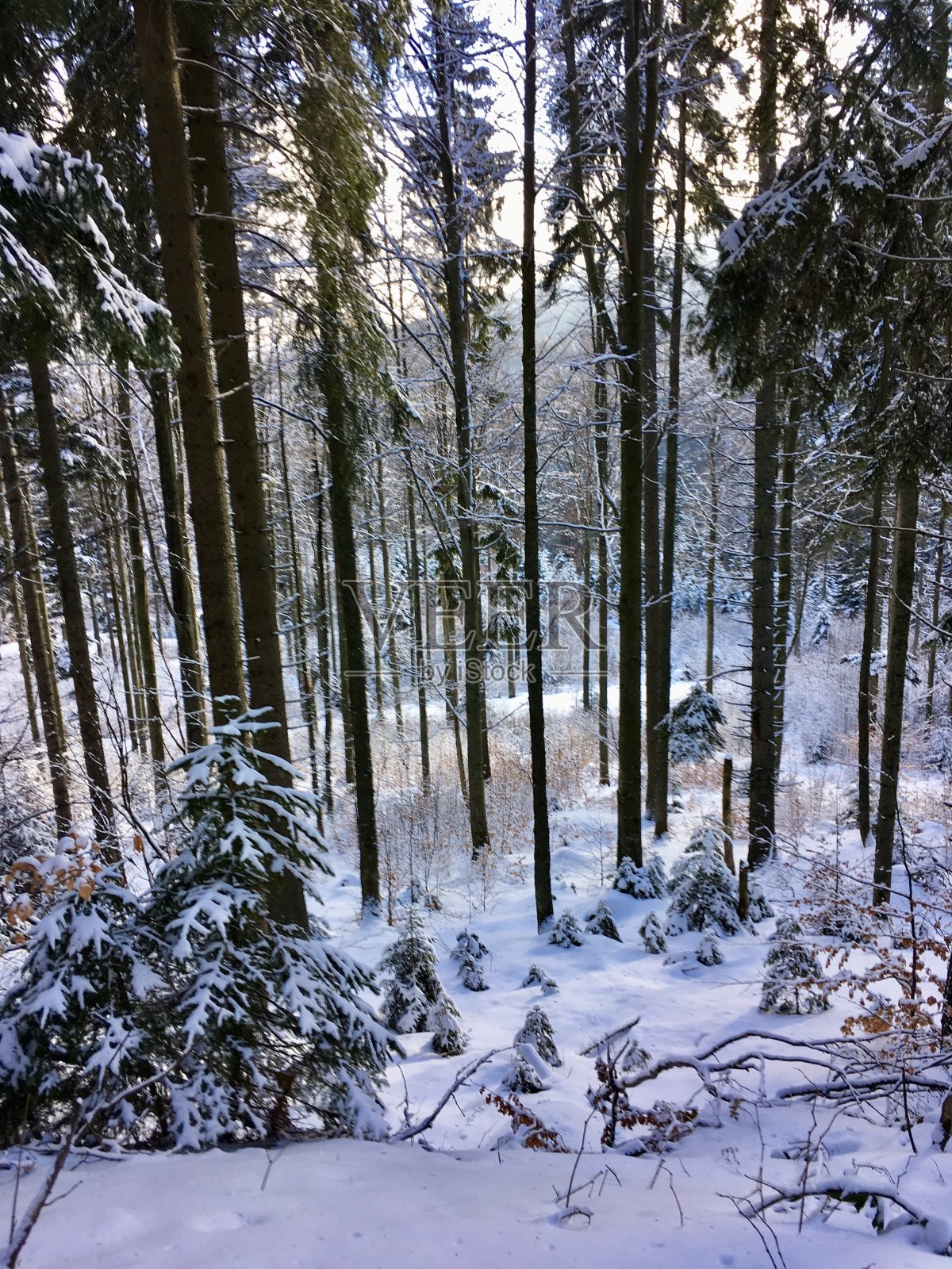 greater Arber, The Großer Arber, Great Arber(捷克语:Velký Javor)是巴伐利亚/波西米亚森林山脉的最高峰，位于巴伐利亚下部，海拔1455.5米。照片摄影图片