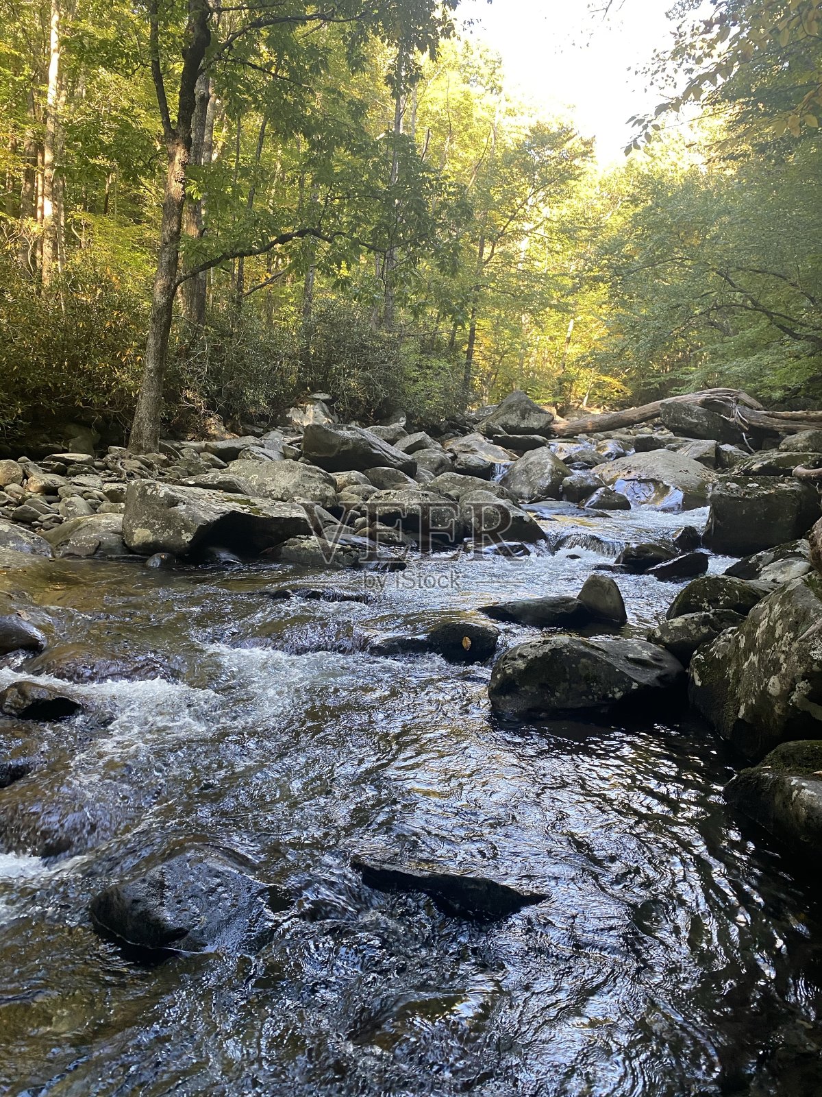 落在大烟山照片摄影图片