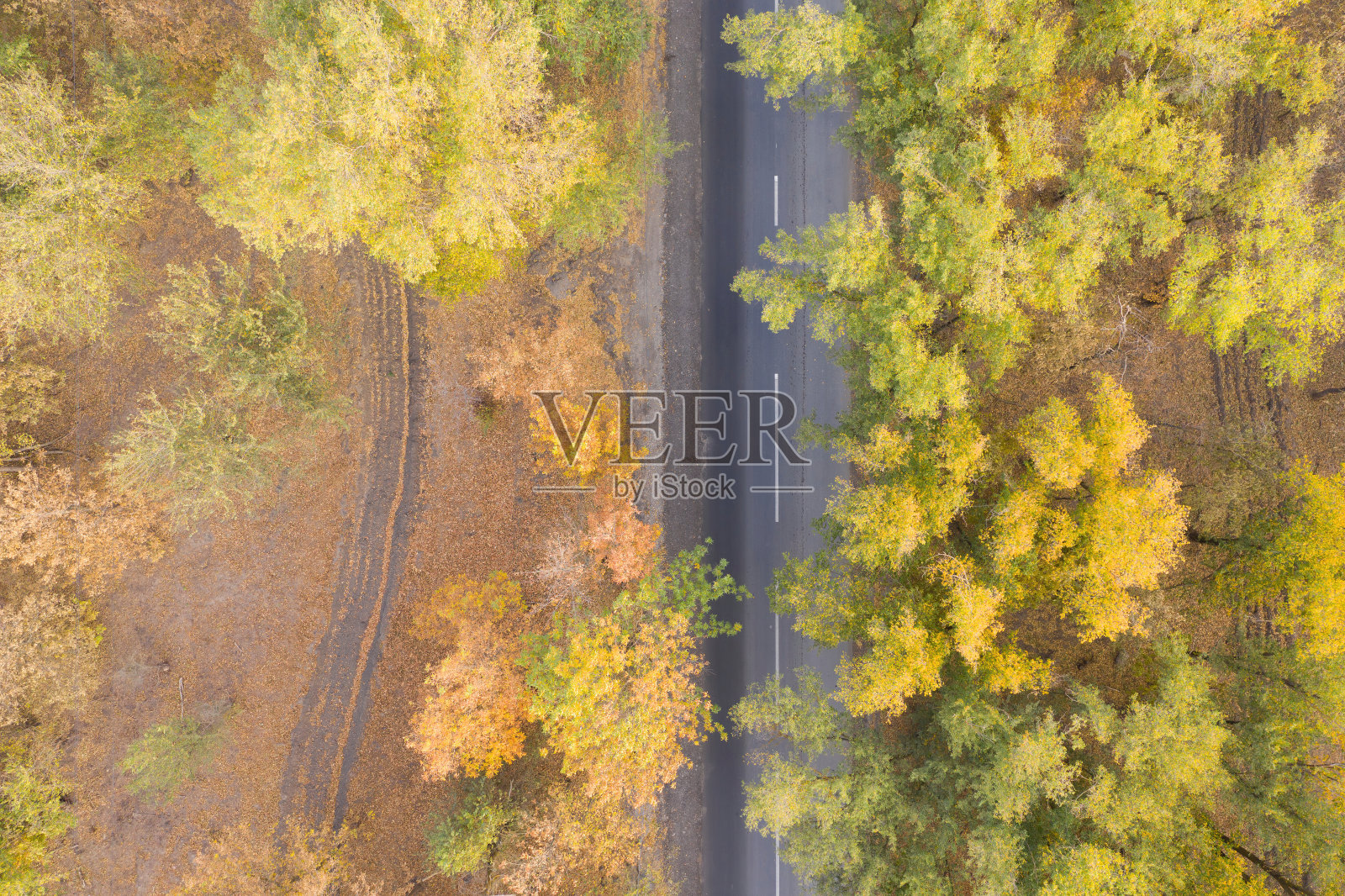 鸟瞰图的道路在美丽的秋天森林。照片摄影图片