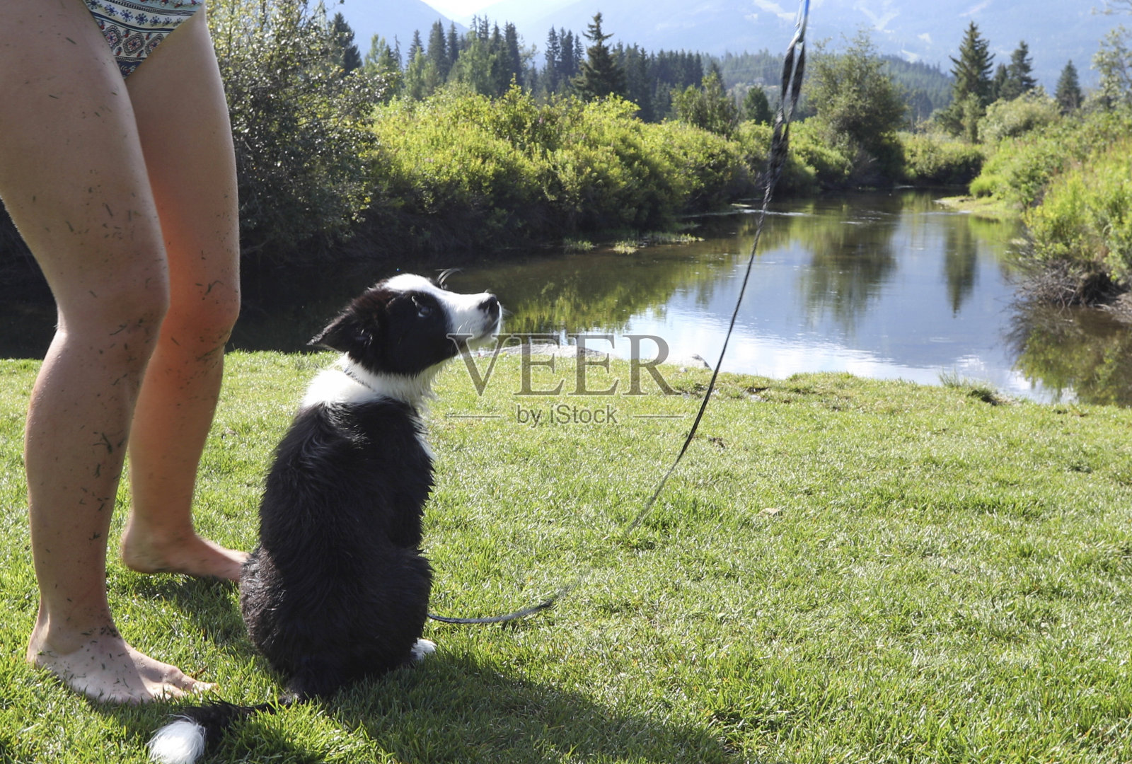 一个年轻的女人在河边和牧羊犬狗玩耍照片摄影图片