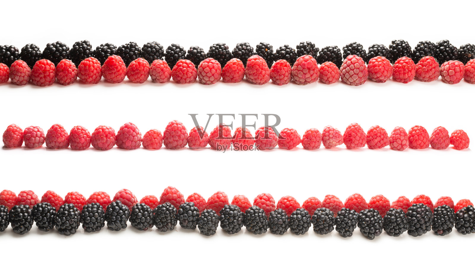 树莓和黑莓排成一行，孤立在白色上。照片摄影图片