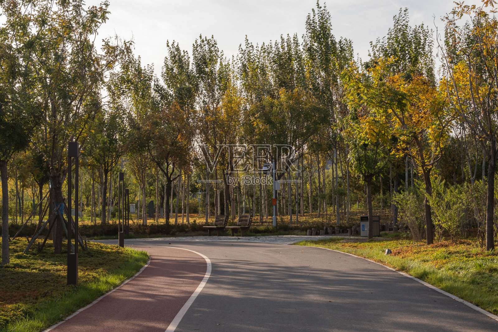 公园的秋景照片摄影图片