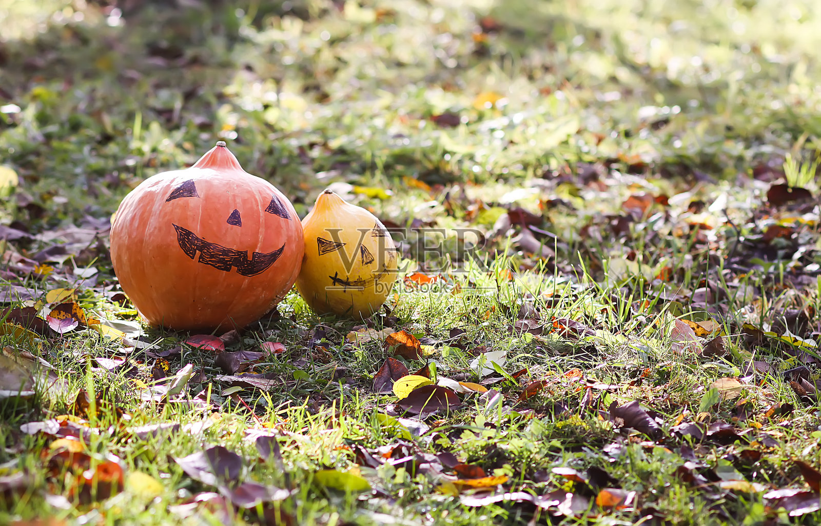 有趣的万圣节南瓜与可怕的脸在秋天的树叶。照片摄影图片