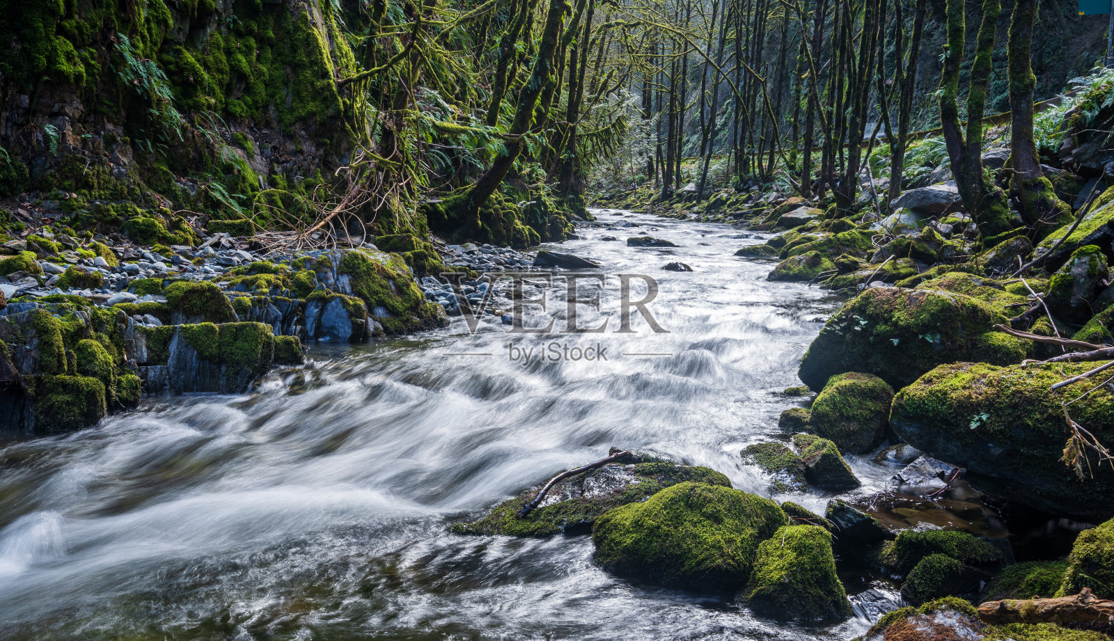 公元前维多利亚金溪省公园照片摄影图片