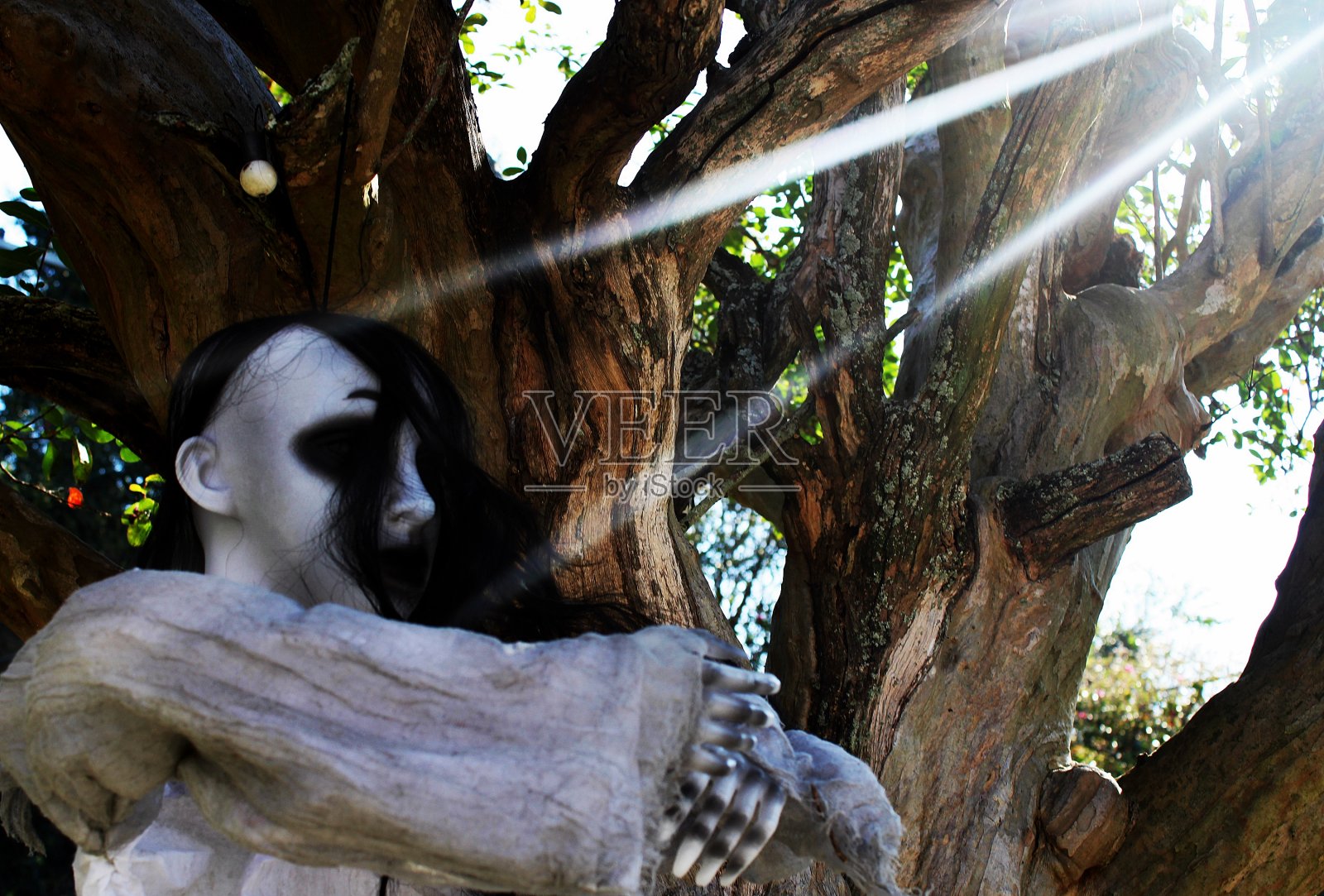 在阳光下游荡的万圣节幽灵照片摄影图片