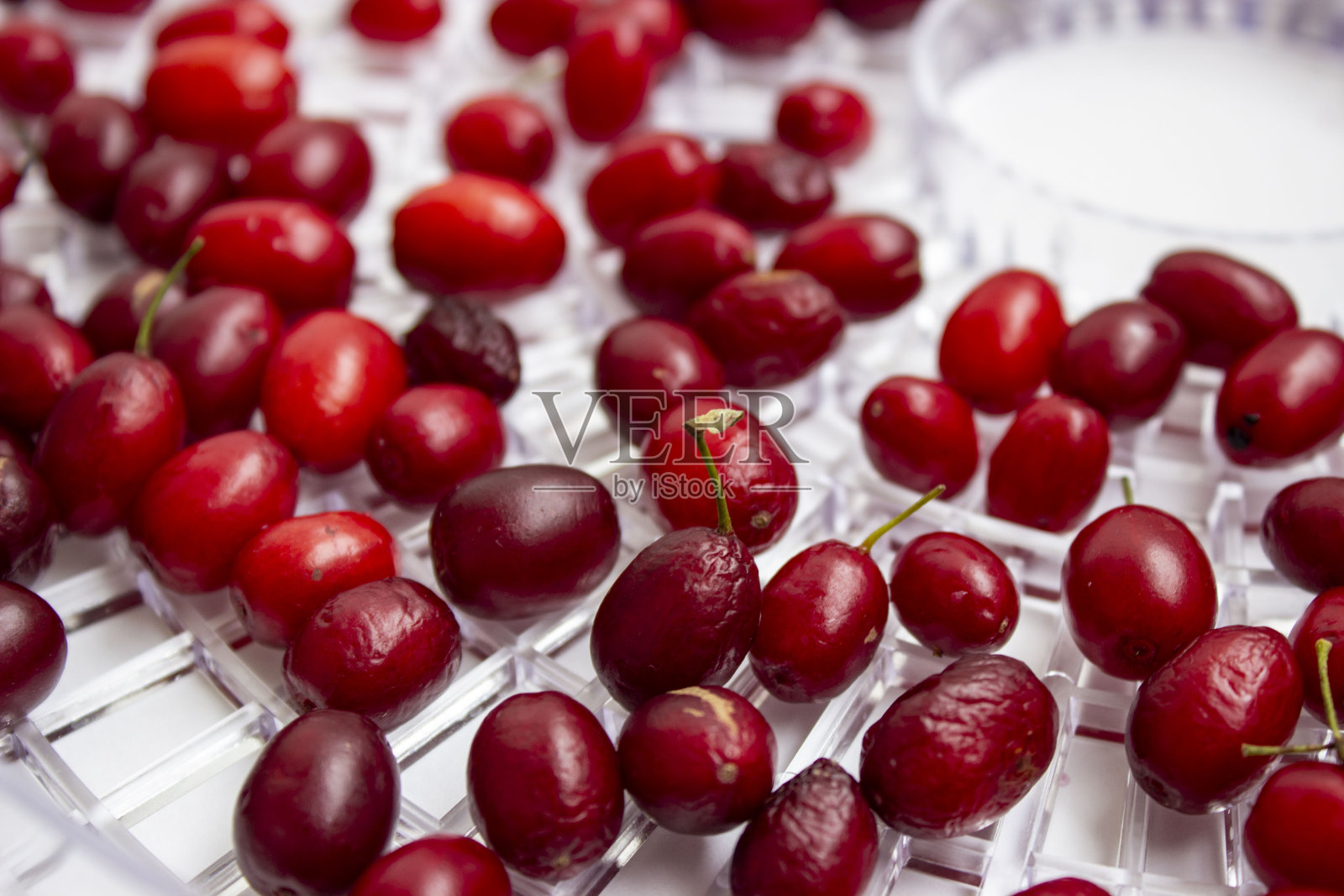 成熟的红色和栗色山茱萸果实。圆形格子脱水机与空白干燥。制作干果的过程。照片摄影图片