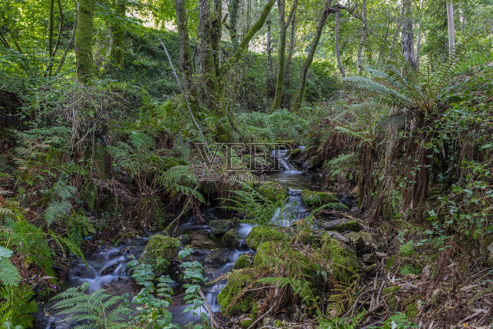 小溪照片摄影图片