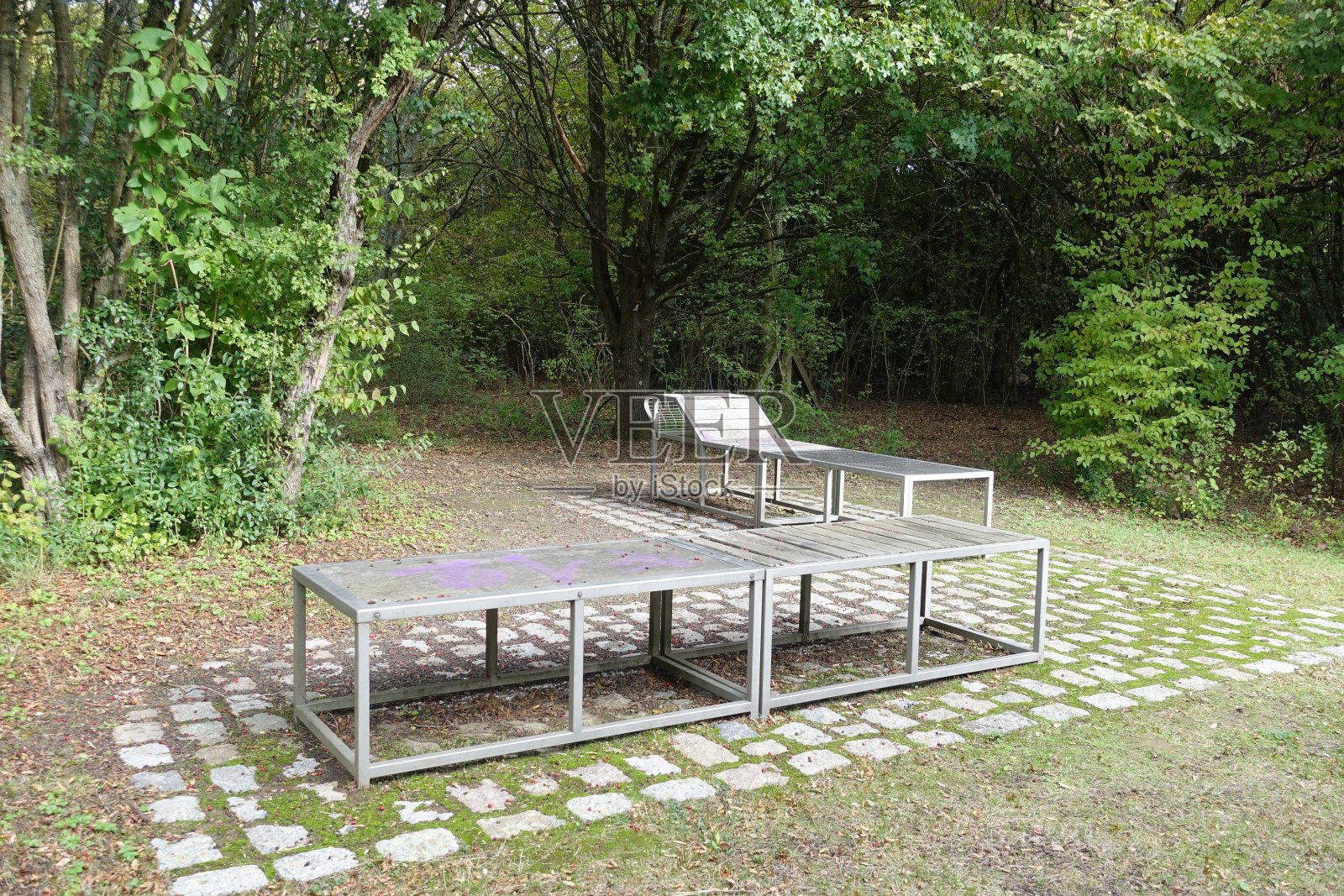 森林土路远足长椅休息的法兰西岛照片摄影图片