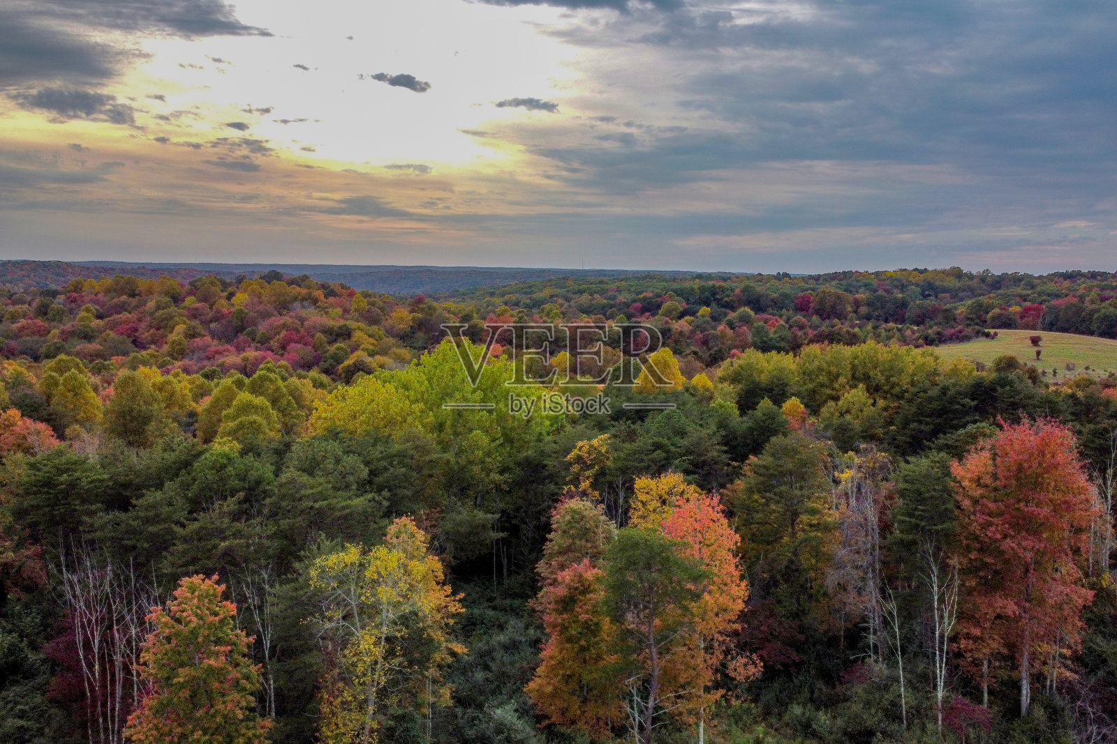 十月秋叶照片摄影图片