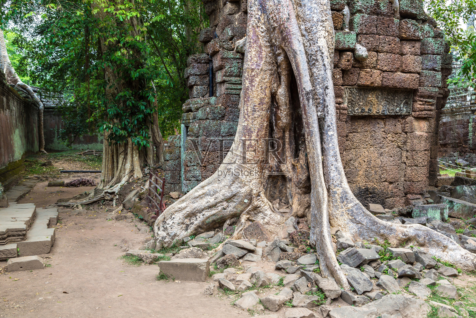 吴哥窟的Ta Prohm temple in Angkor Wat照片摄影图片