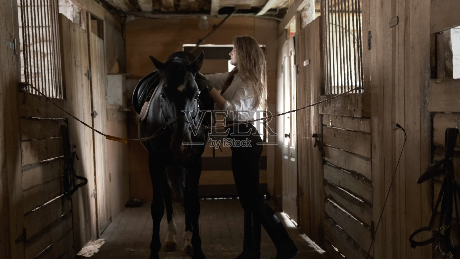 一个穿着白衬衫、戴着手套的女孩把马鞍扔到马上照片摄影图片