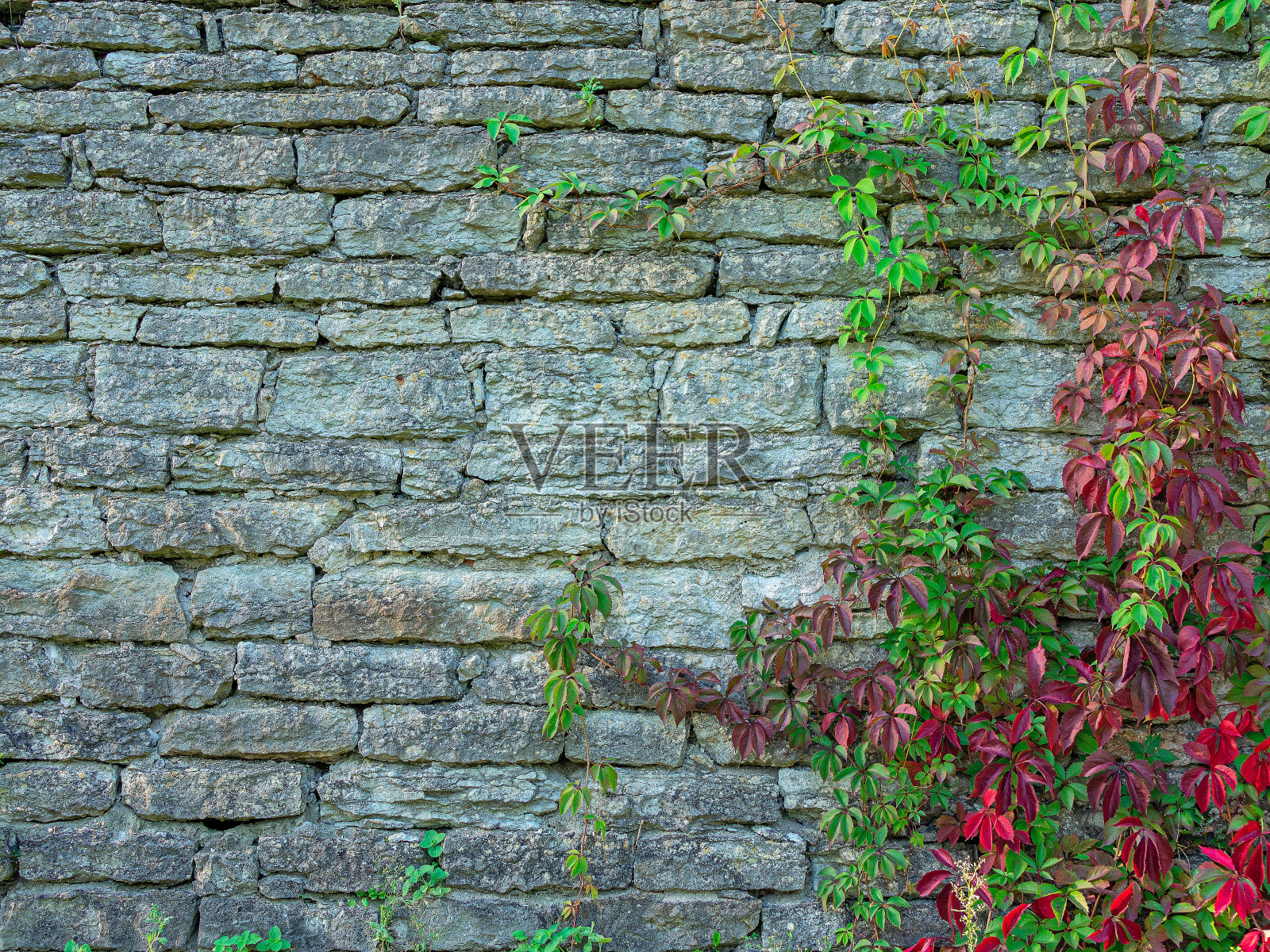 带花石墙照片摄影图片