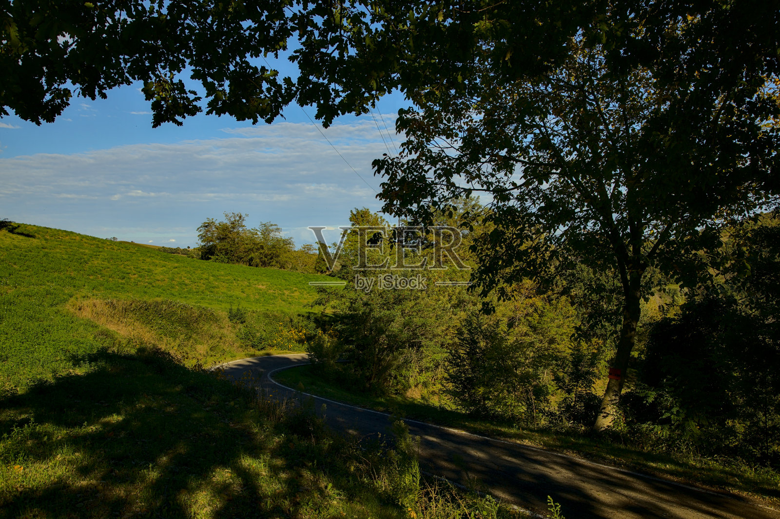 山上一条被树围起来的路照片摄影图片