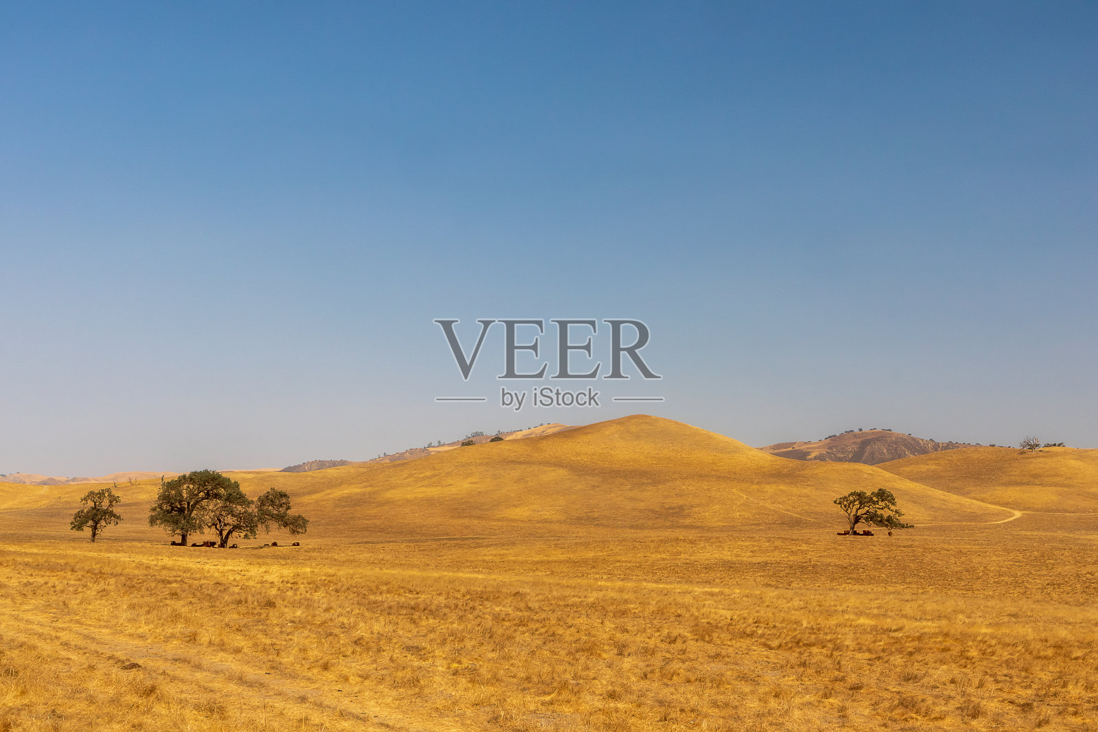 Pinnacle国家公园风景优美，阳光明媚照片摄影图片