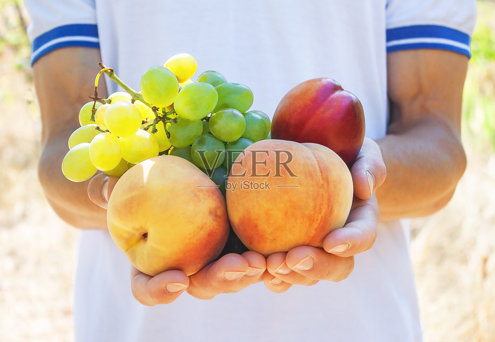 男人拿着新鲜多汁的水果照片摄影图片