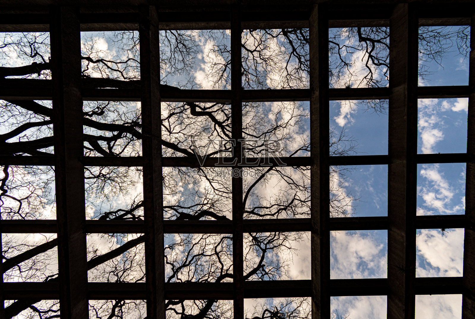 从天空下面看照片摄影图片