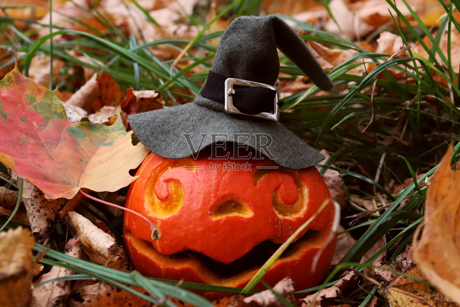 灯笼杰克照片摄影图片