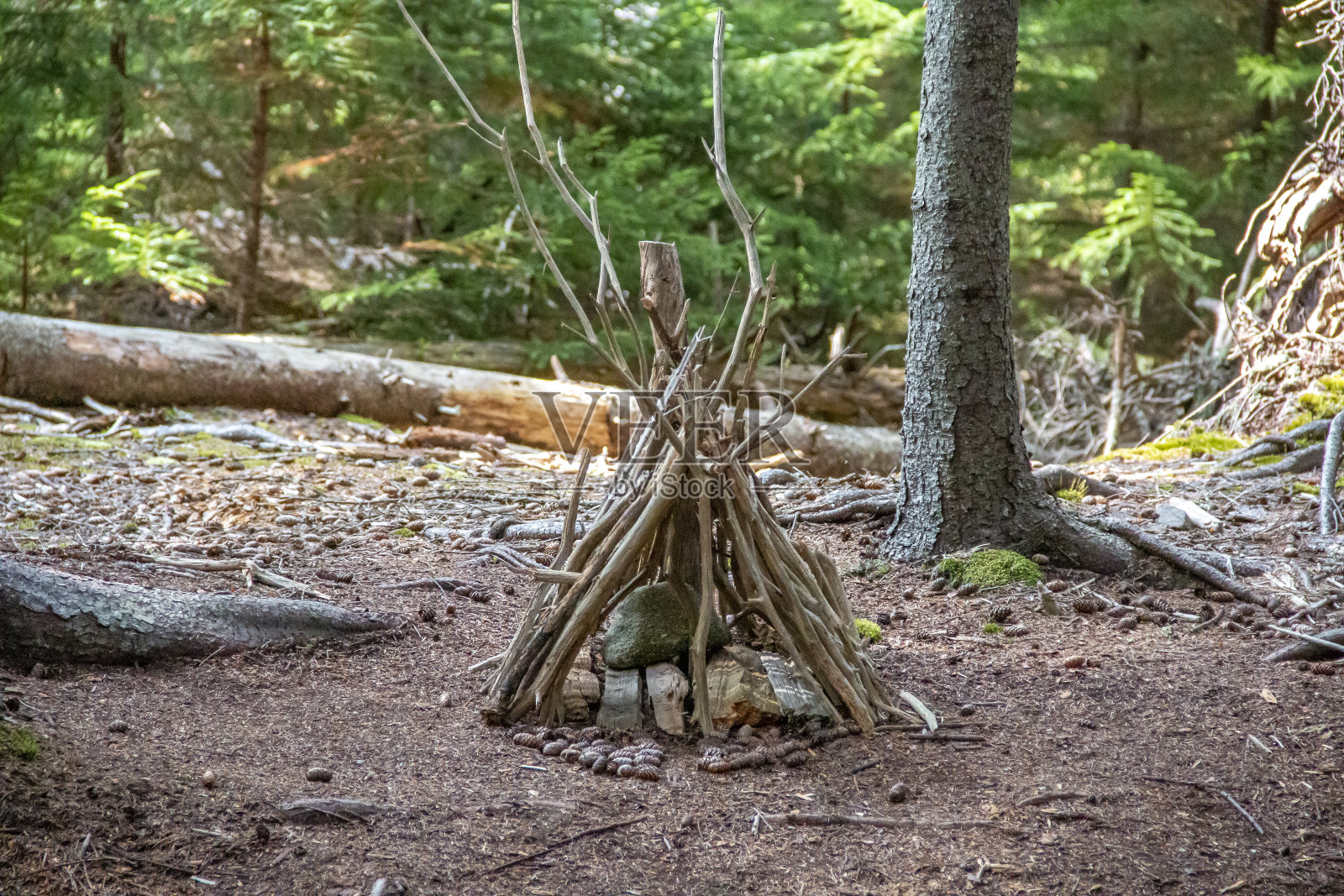 森林中央用树枝搭成的小精灵帐篷照片摄影图片