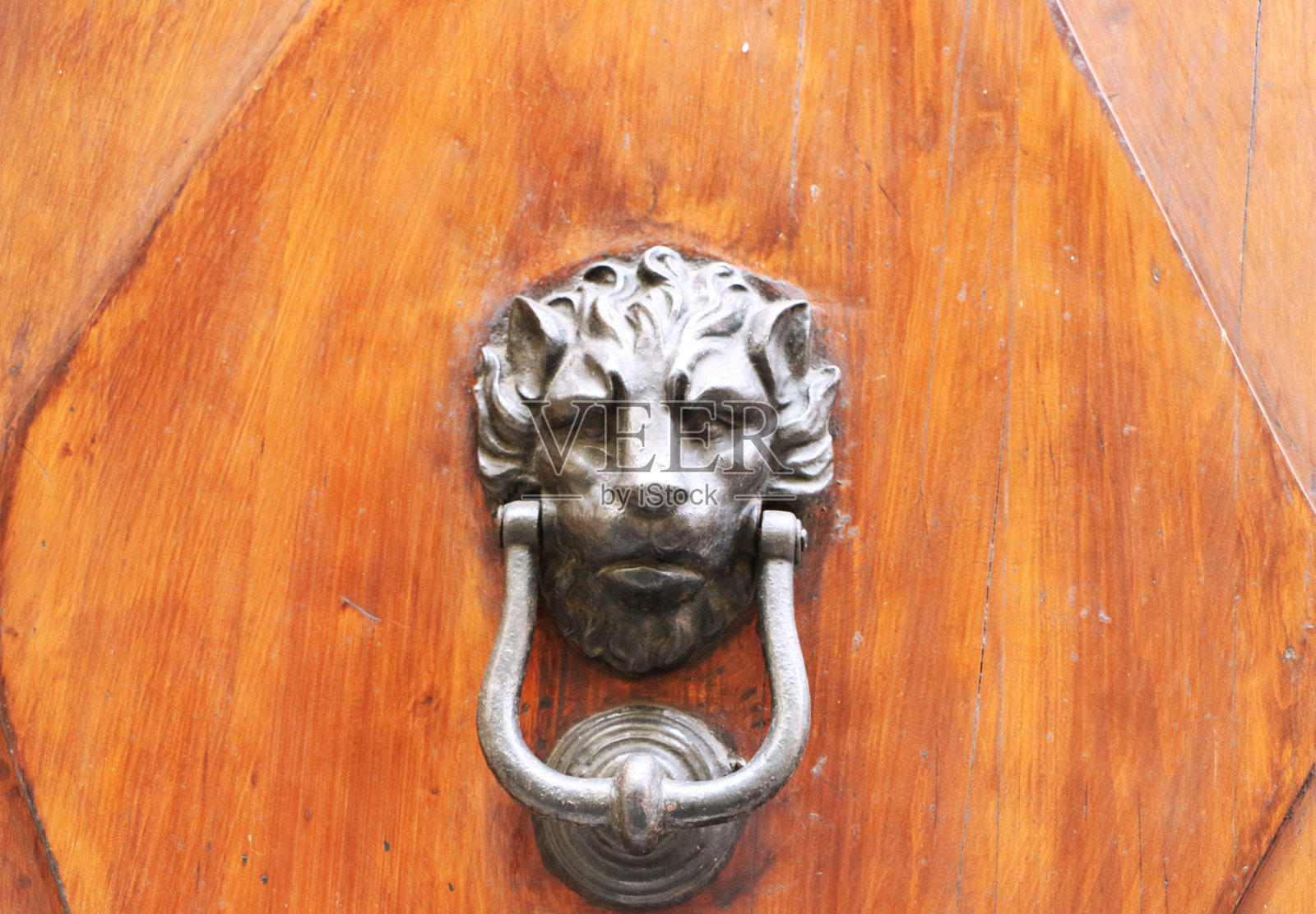 锡耶纳的一个老狮头门把手照片摄影图片