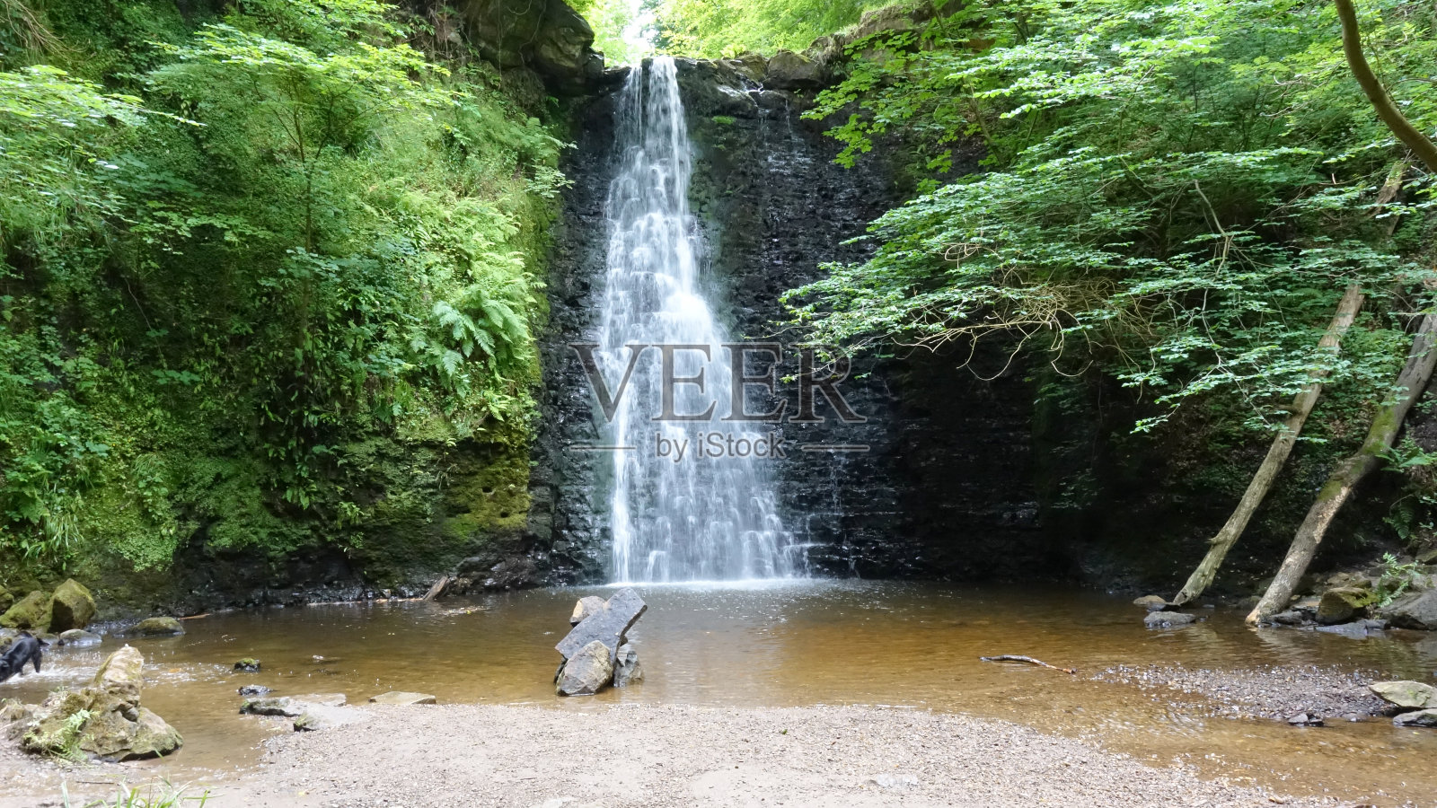 英国惠特比Foss瀑布照片摄影图片