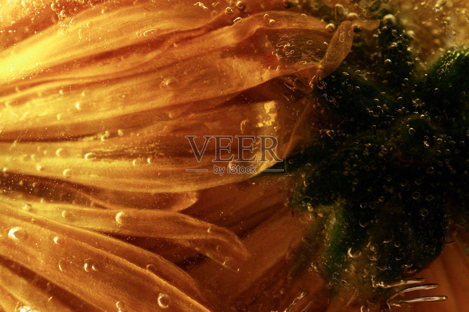 冰结构照片摄影图片