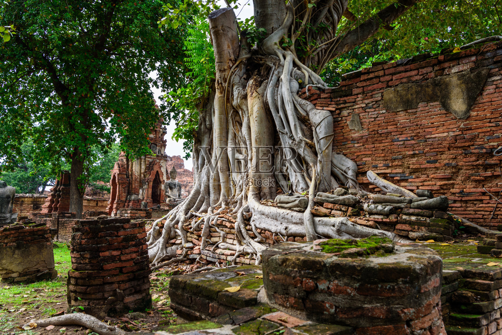 泰国那空寺大城府历史公园内的摩诃寺遗址照片摄影图片