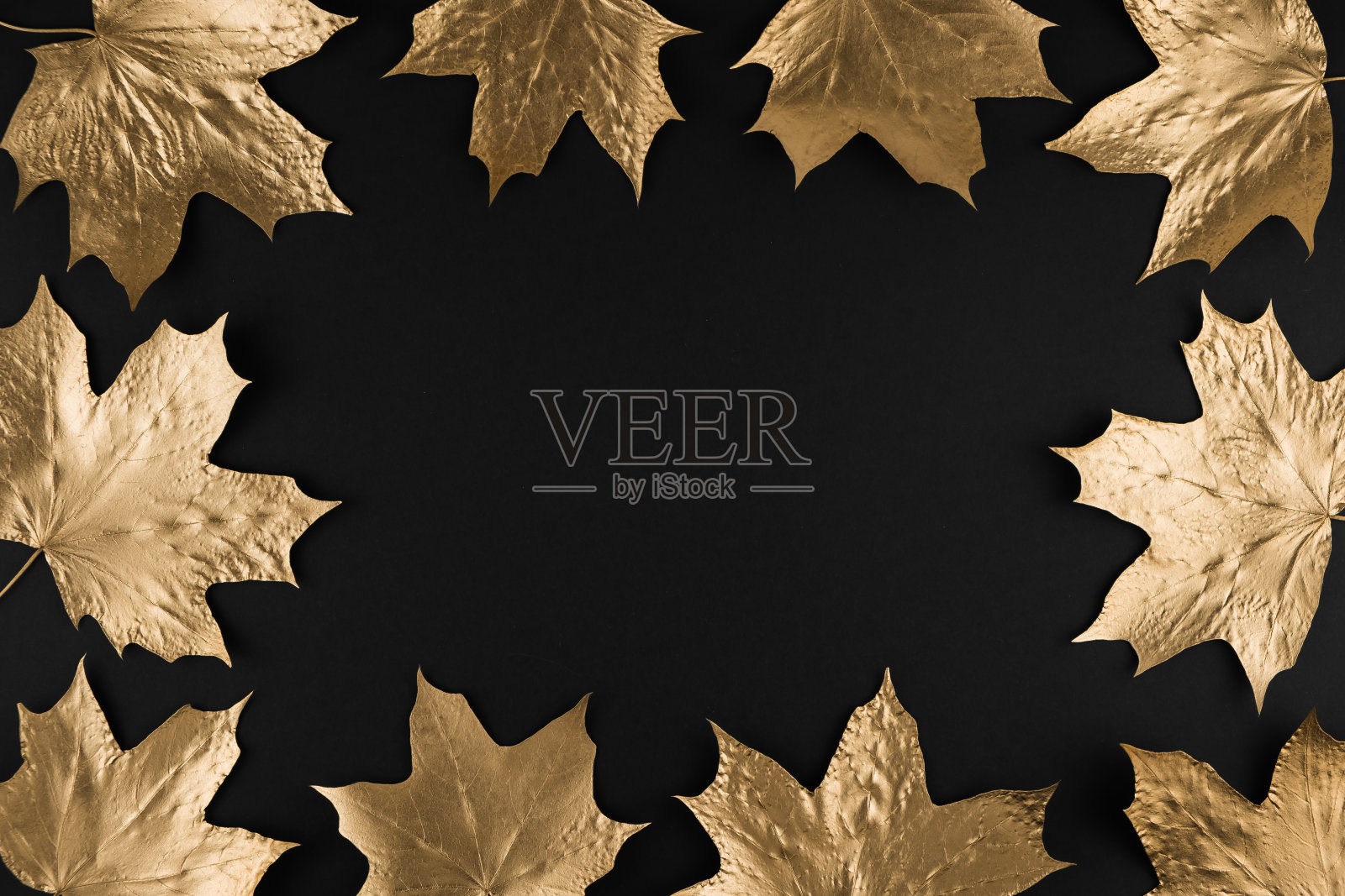 秋天的成分。框架由秋天金黄色的枫叶在黑色的背景。平铺，俯视图，拷贝空间照片摄影图片