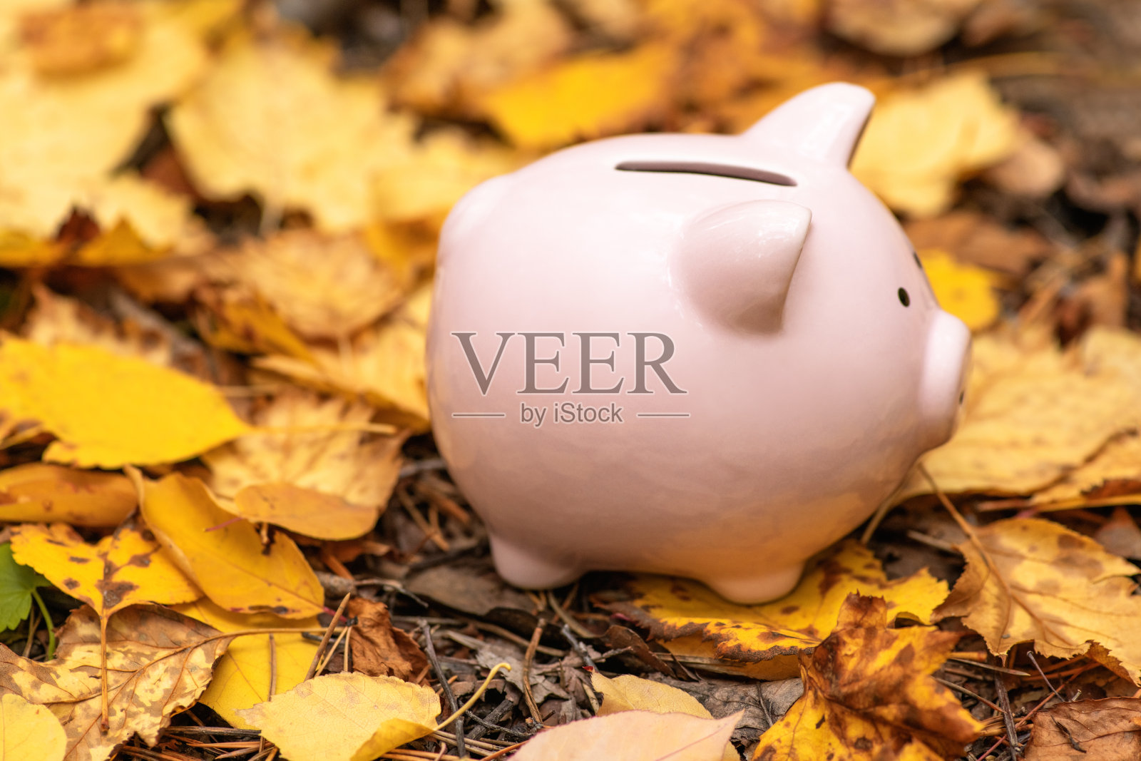 粉红色的储蓄罐在秋天的地上落叶。秋天背景照片摄影图片