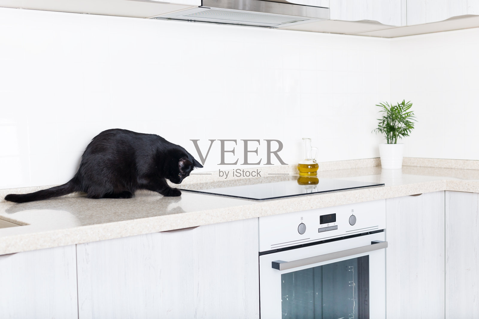 在白色的厨房内部，黑猫在干净的台面上照片摄影图片