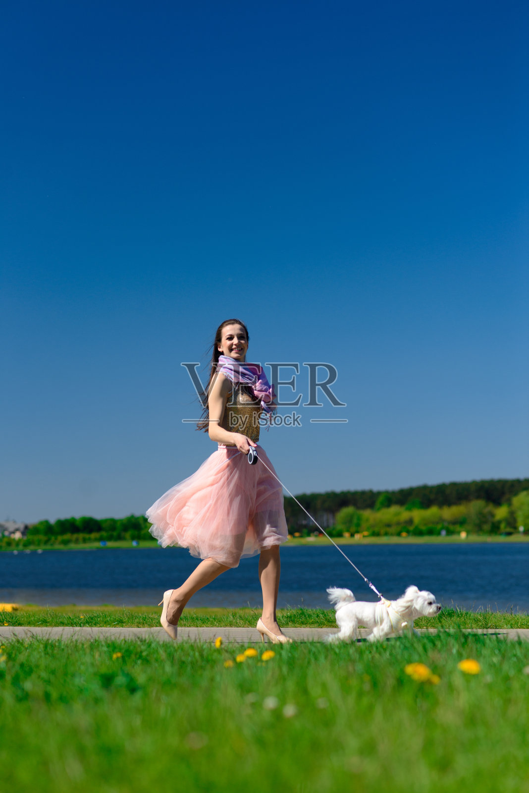 年轻女孩和她的狗。一只白色的小狗和它的主人一起跑。关于友谊、动物和自由的概念。照片摄影图片