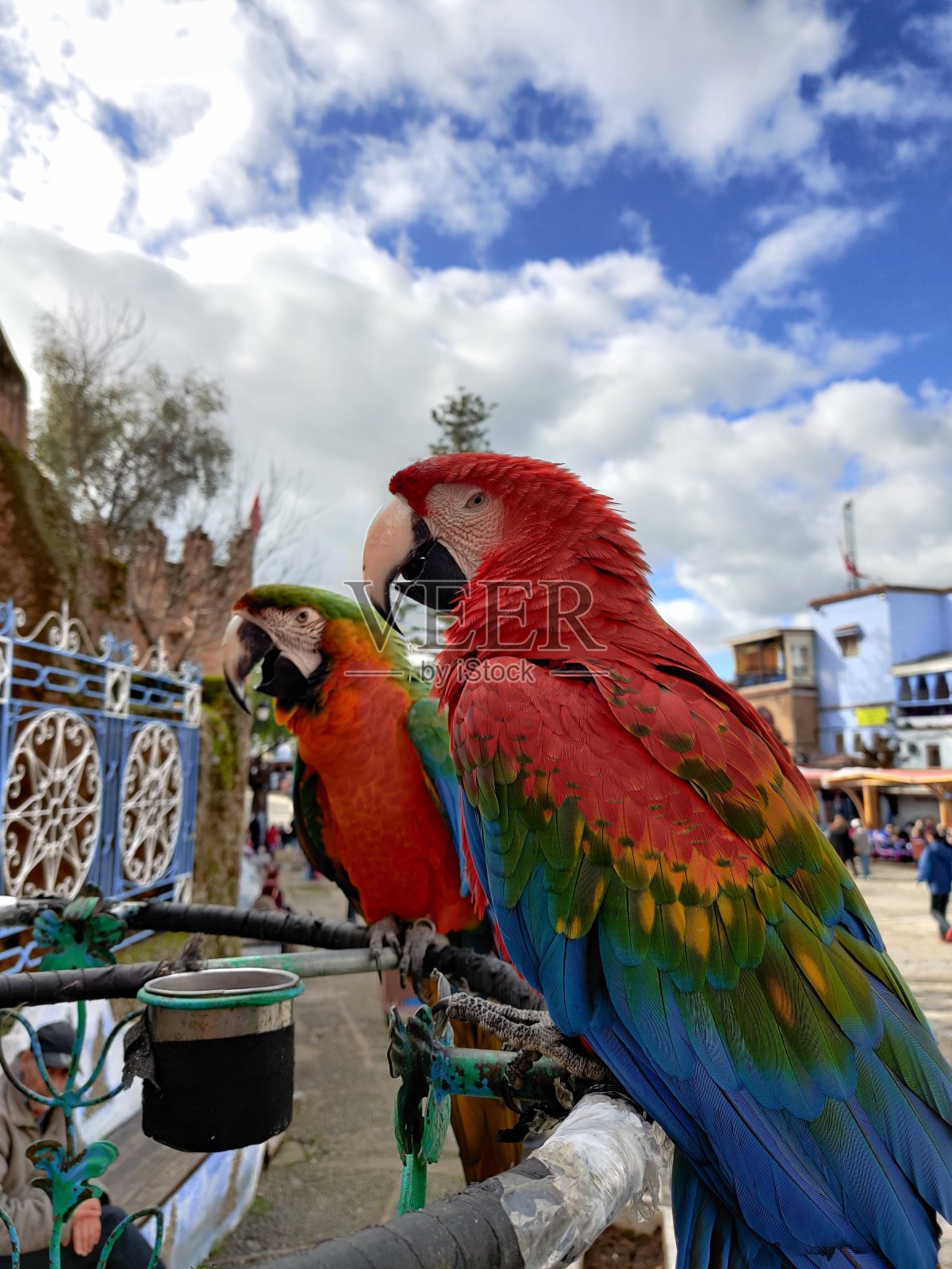 Chefchaouen街道照片摄影图片