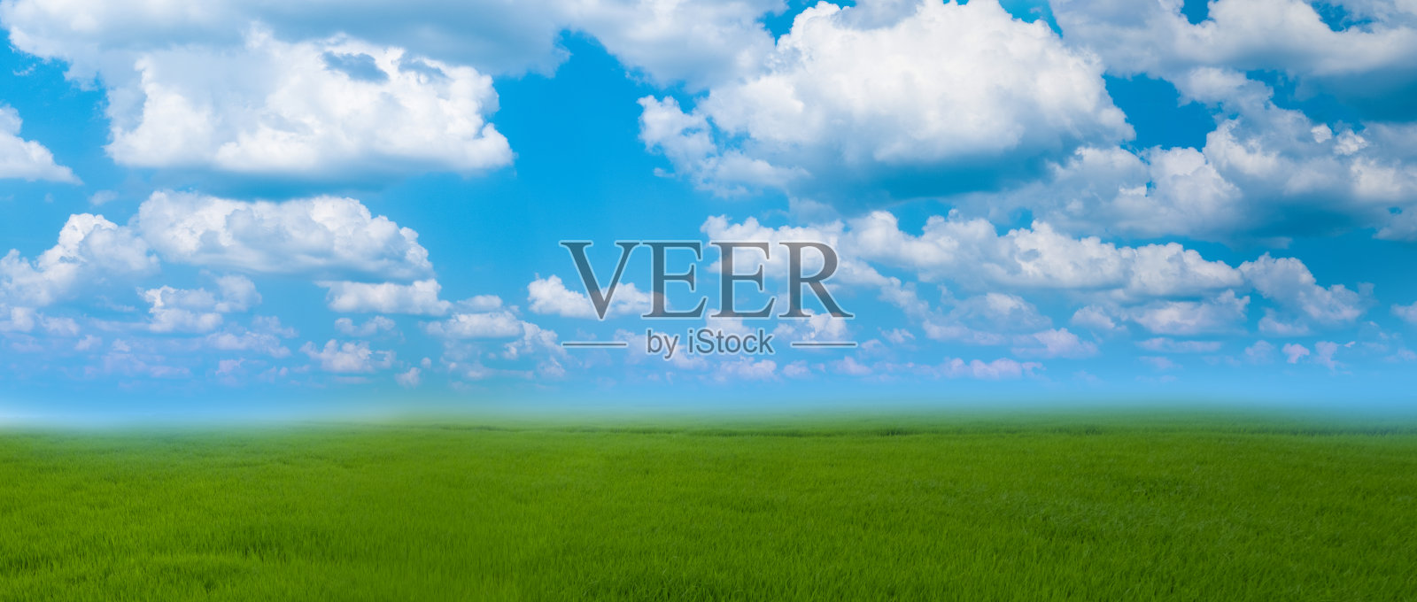 草地和蓝天照片摄影图片