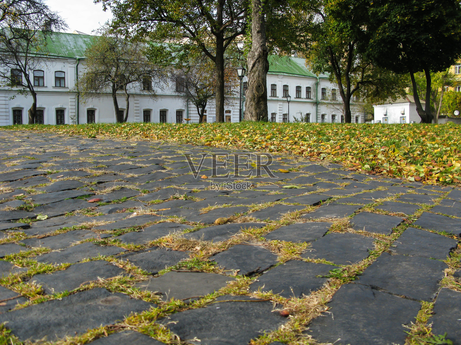 古老的鹅卵石路面上长出了青草和黄色的落叶照片摄影图片