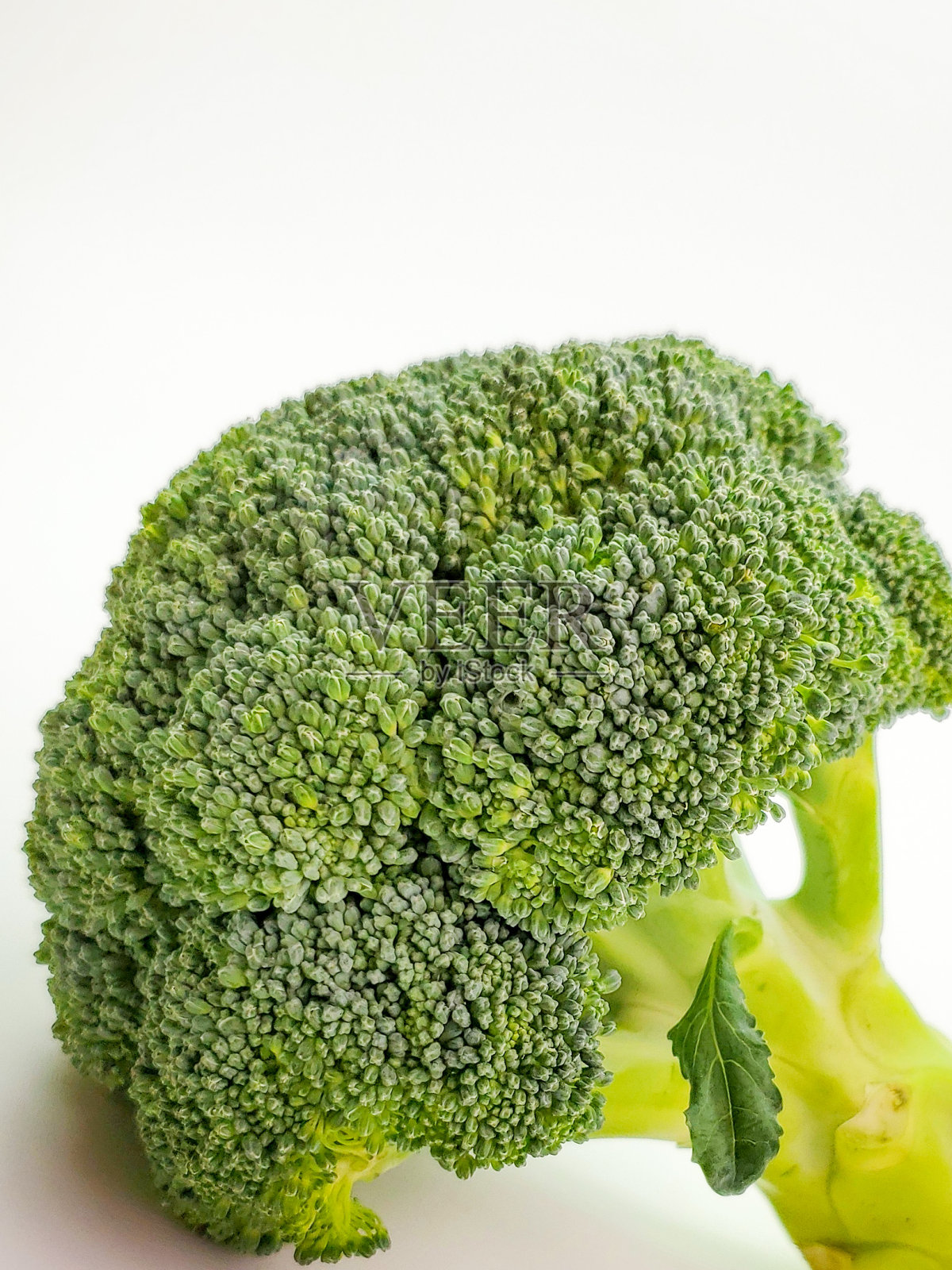 一束孤立在白色背景上的西兰花。新鲜成熟的西兰花照片摄影图片