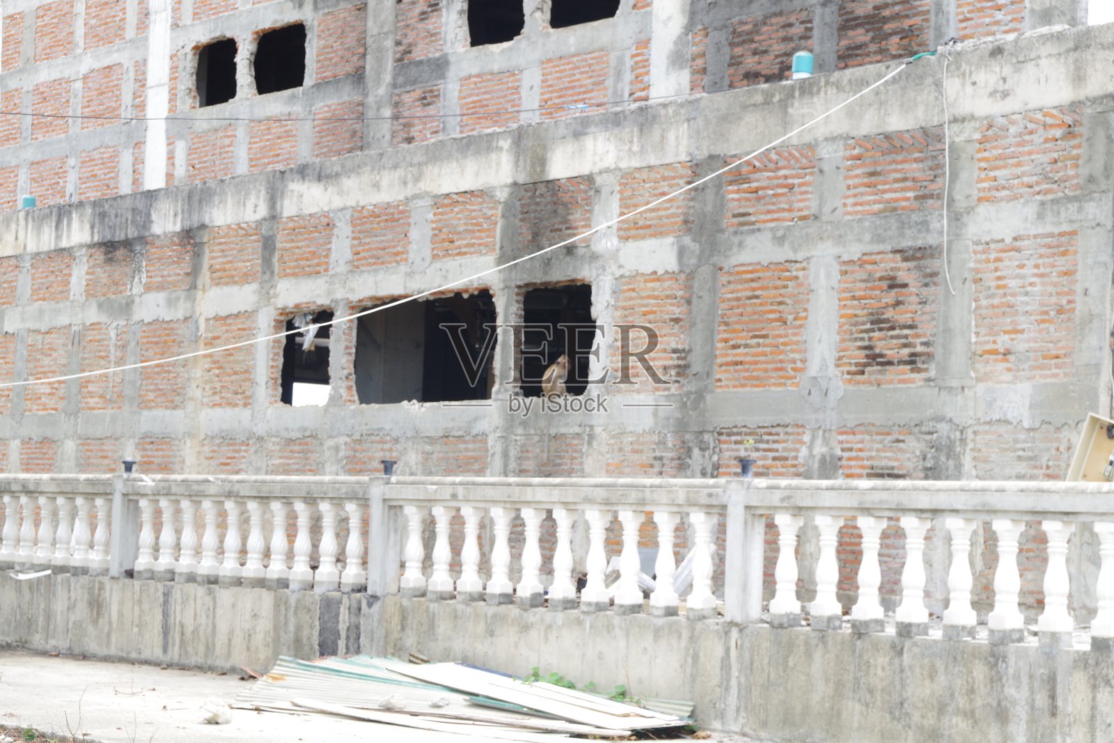 Khao Takiap的猴子照片摄影图片