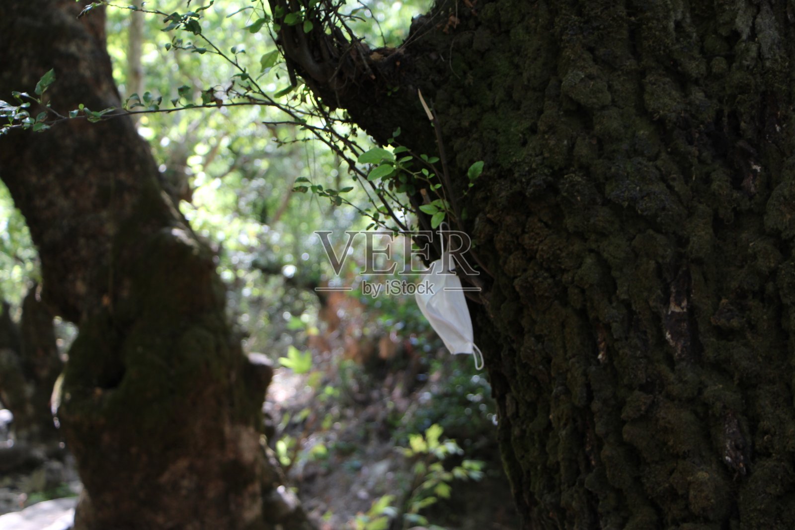 森林里的垃圾口罩污染了大自然。医用口罩对自然的危害。照片摄影图片