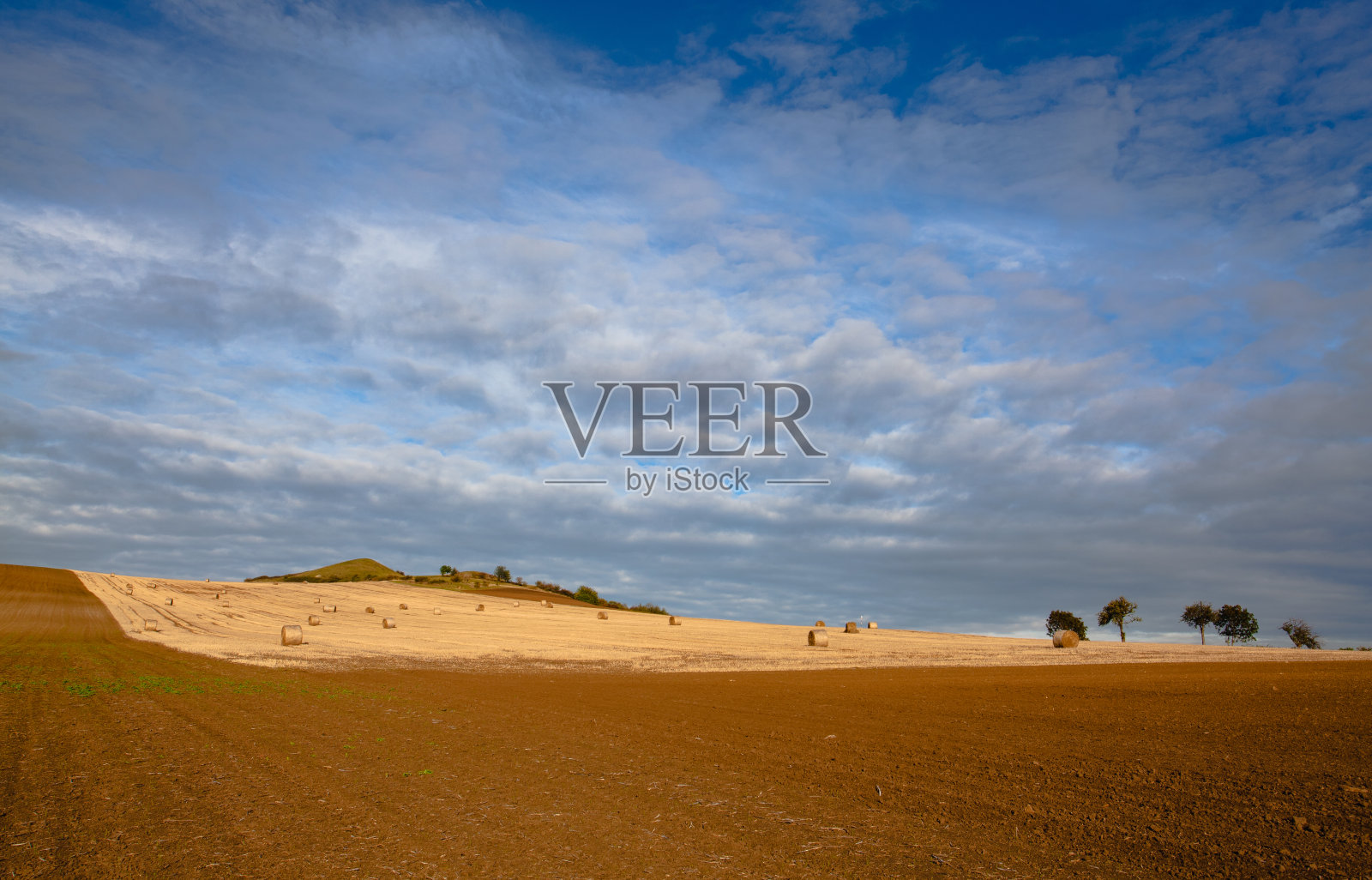 捷克共和国波西米亚高地中部的秸秆。照片摄影图片